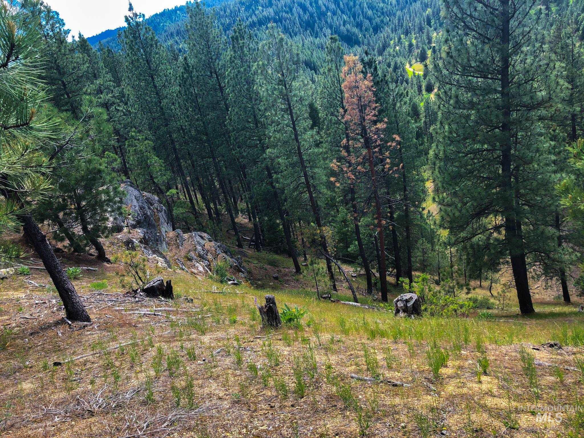 TBD Meadow Creek Drive