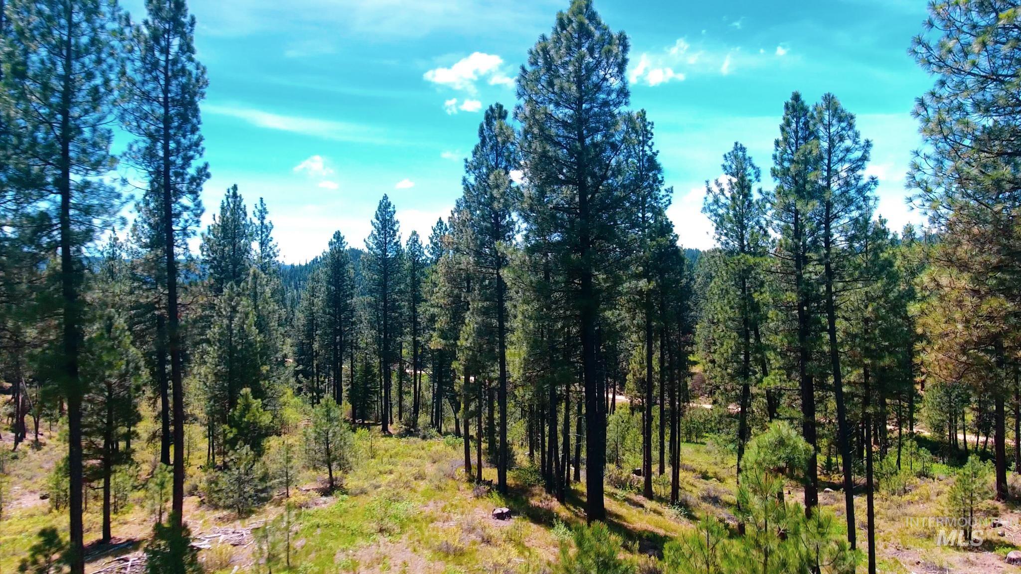 TBD 5 Meadow Creek Drive