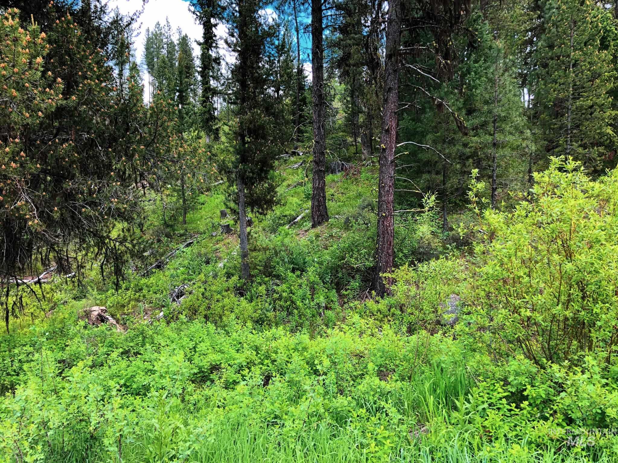 TBD 5 Meadow Creek Drive