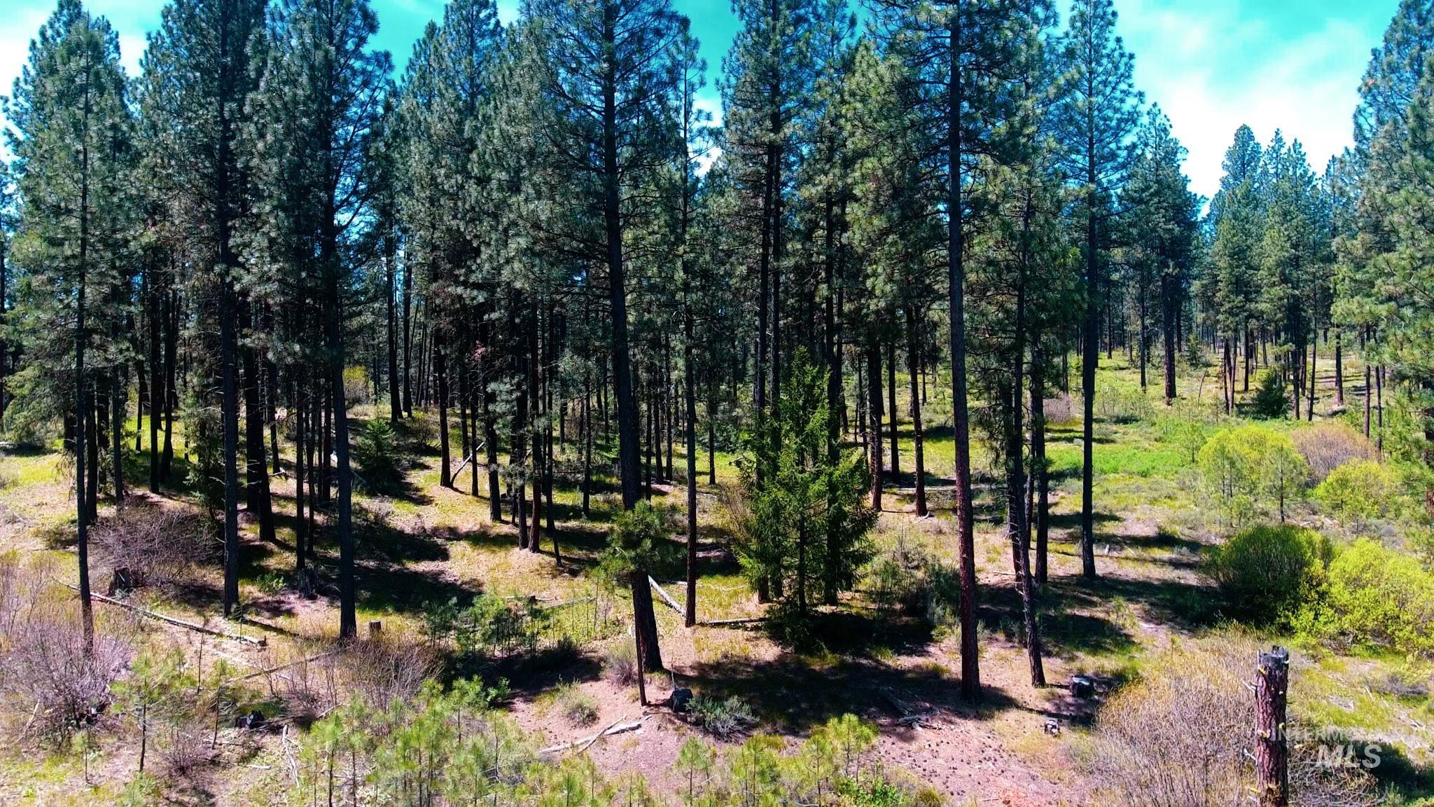 TBD 5 Meadow Creek Drive