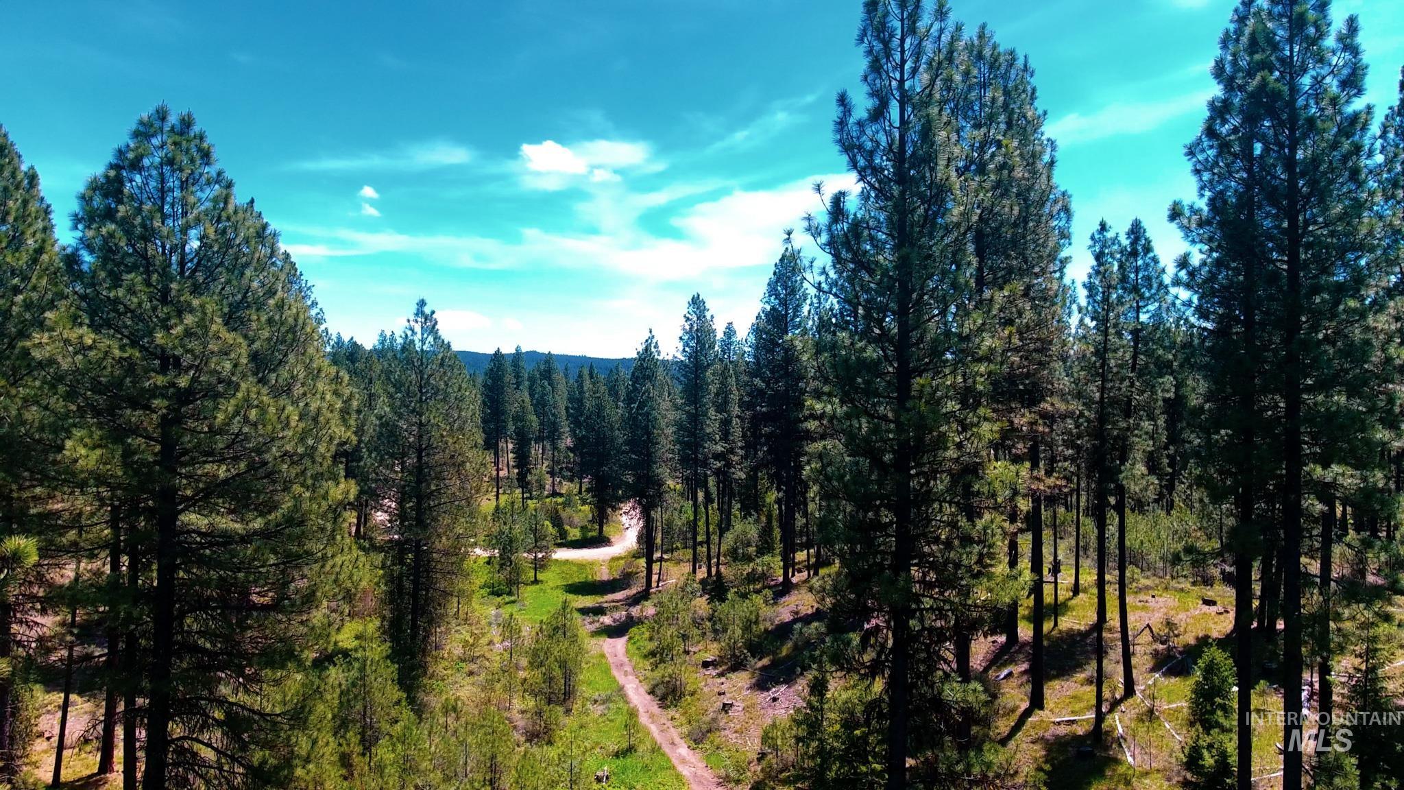 TBD 5 Meadow Creek Drive