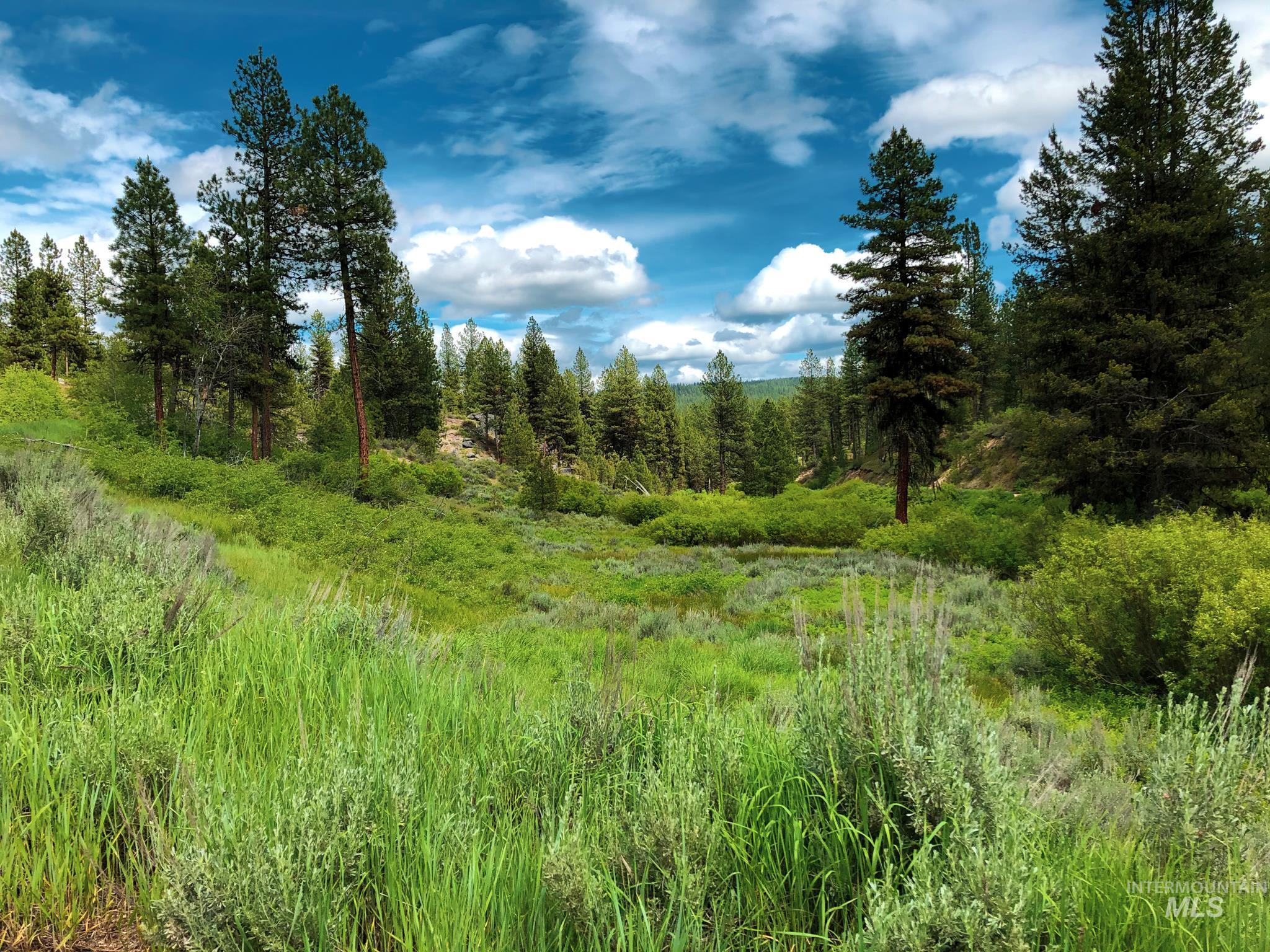 TBD 5 Meadow Creek Drive