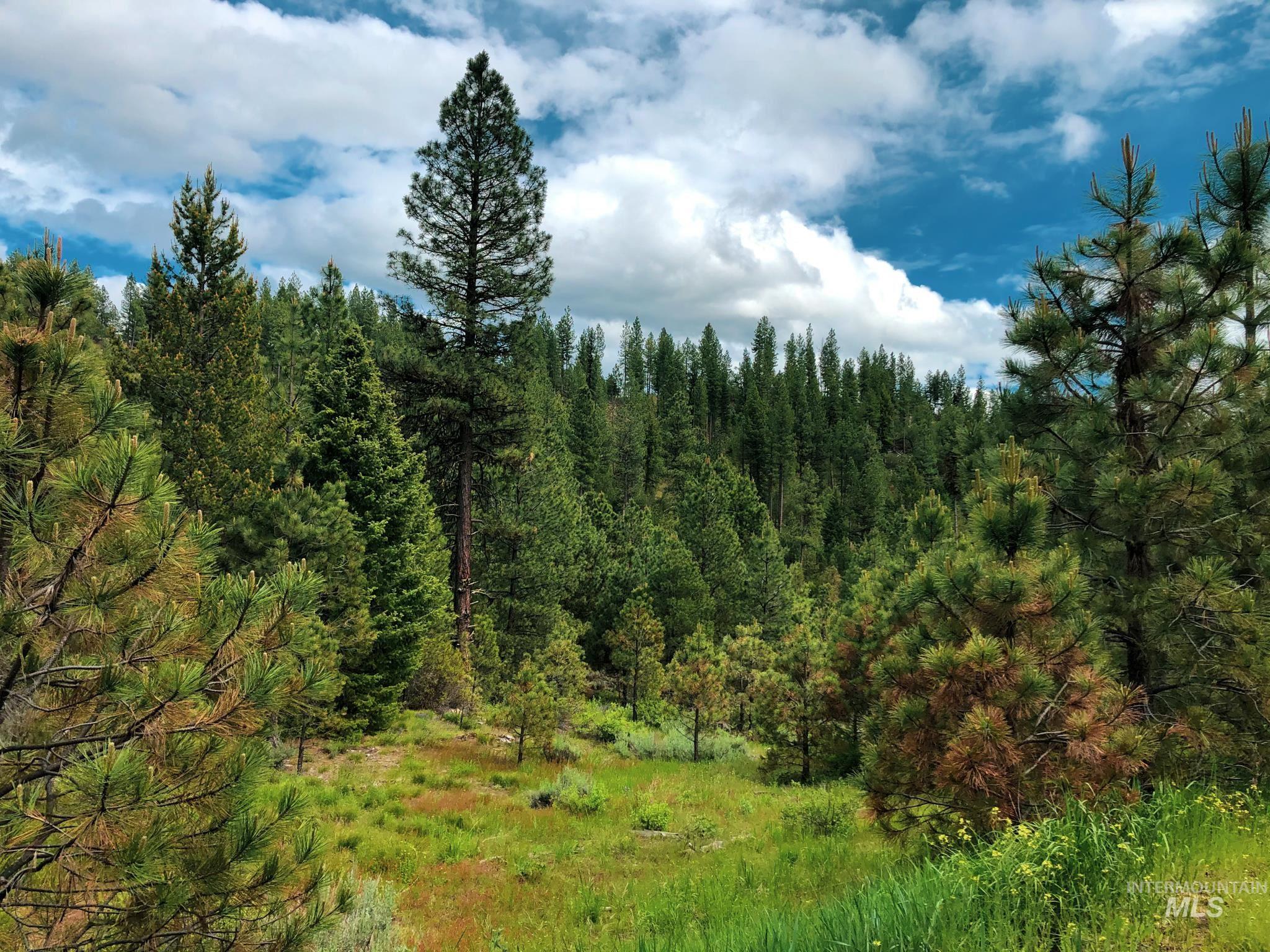 TBD 5 Meadow Creek Drive