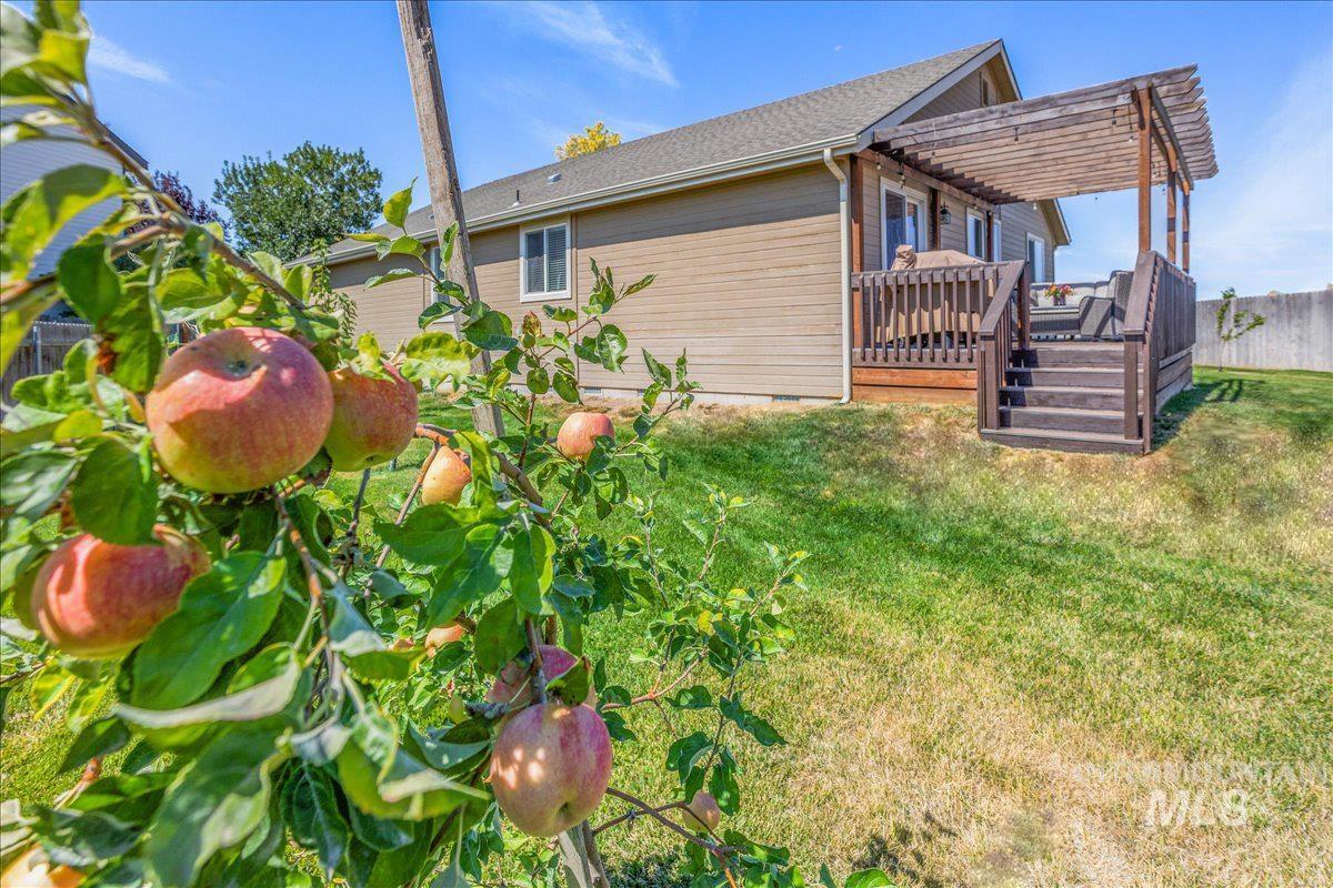 420 S Willow Tree Ave