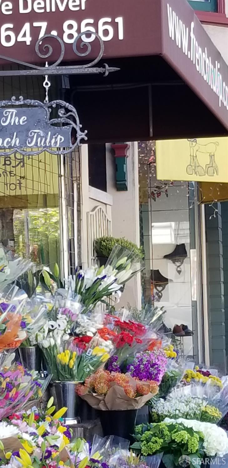 1235 Sanchez Street, Noe Valley