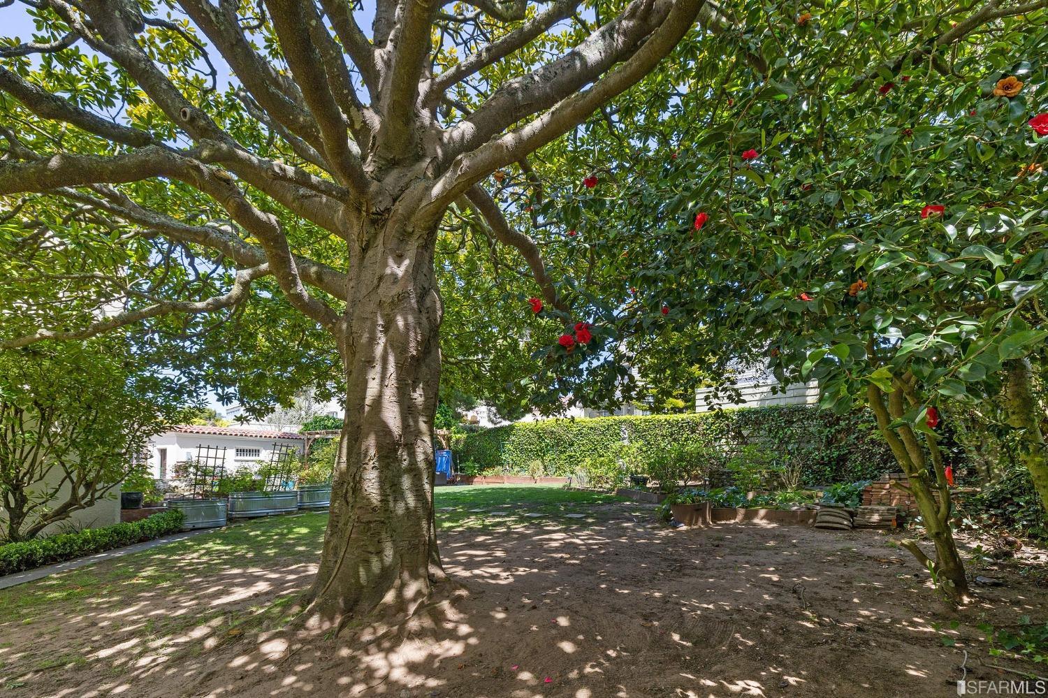 29 San Leandro Way