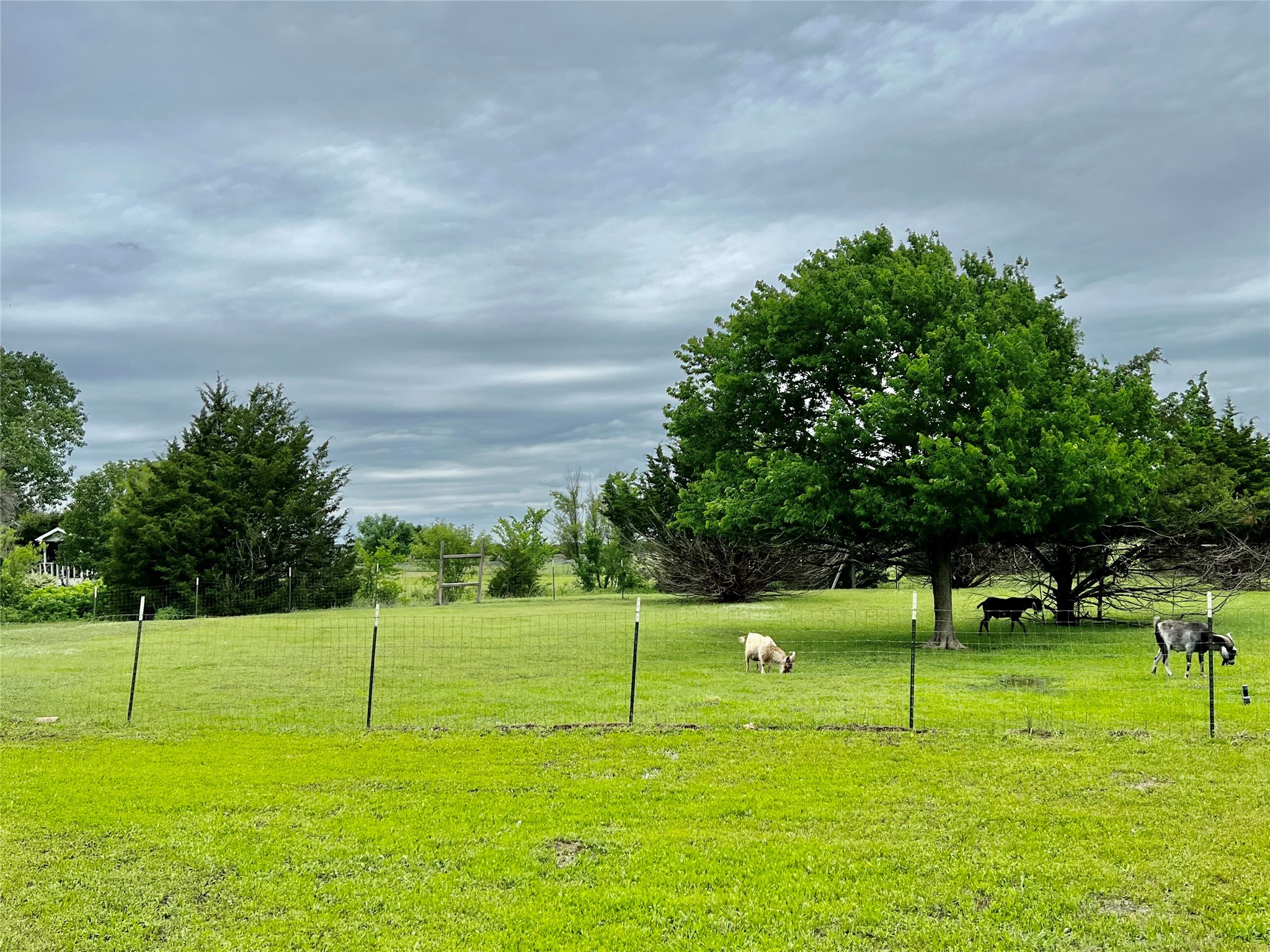 3432 Meadow Crest Drive