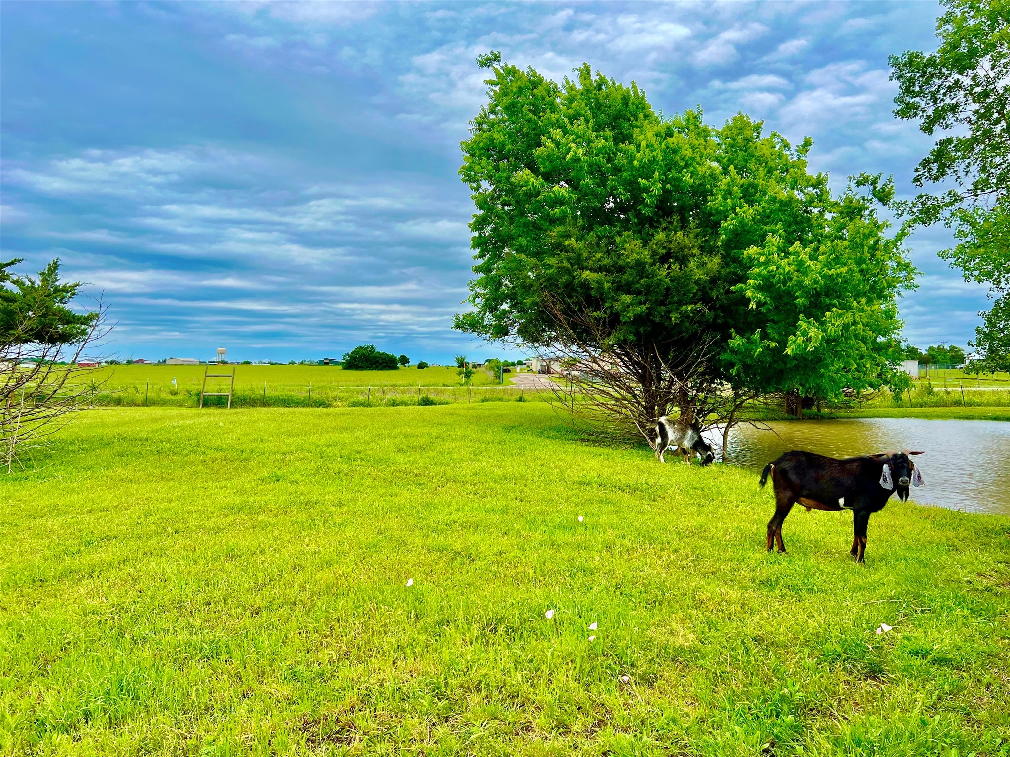 3432 Meadow Crest Drive