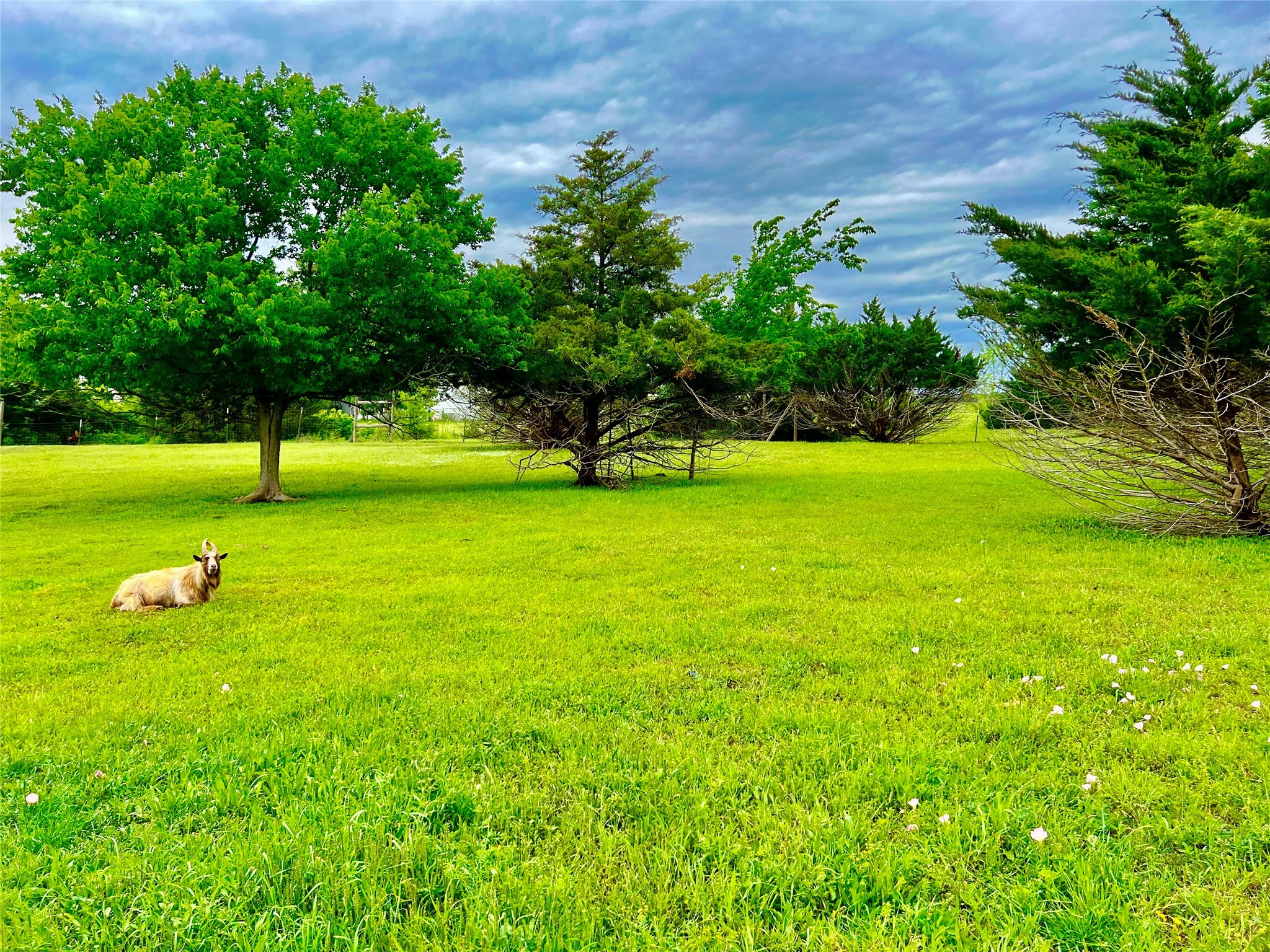 3432 Meadow Crest Drive