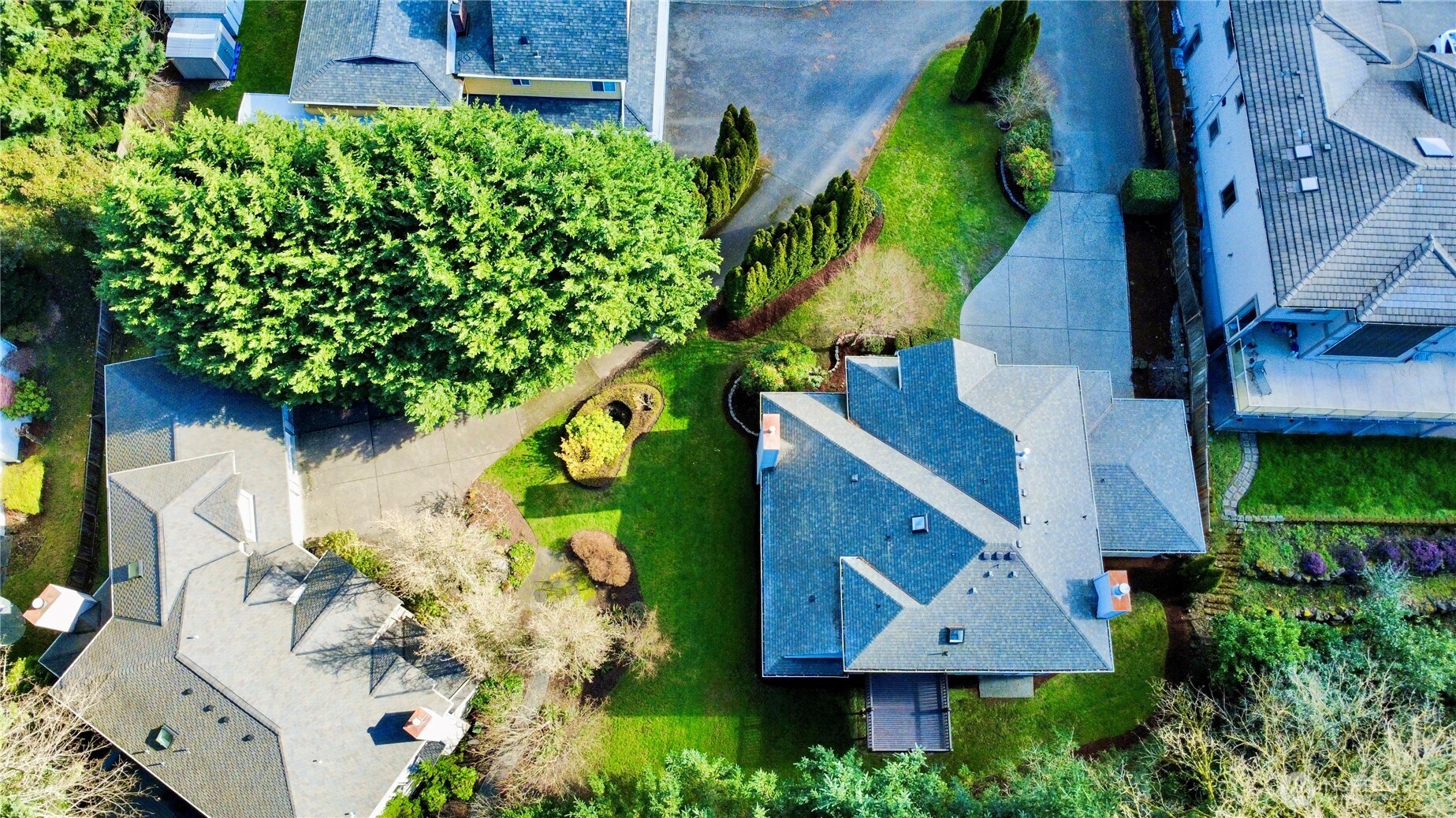 3049 Bellevue Way NE