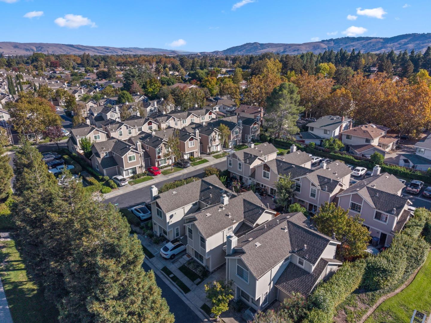 294 Macaw Place