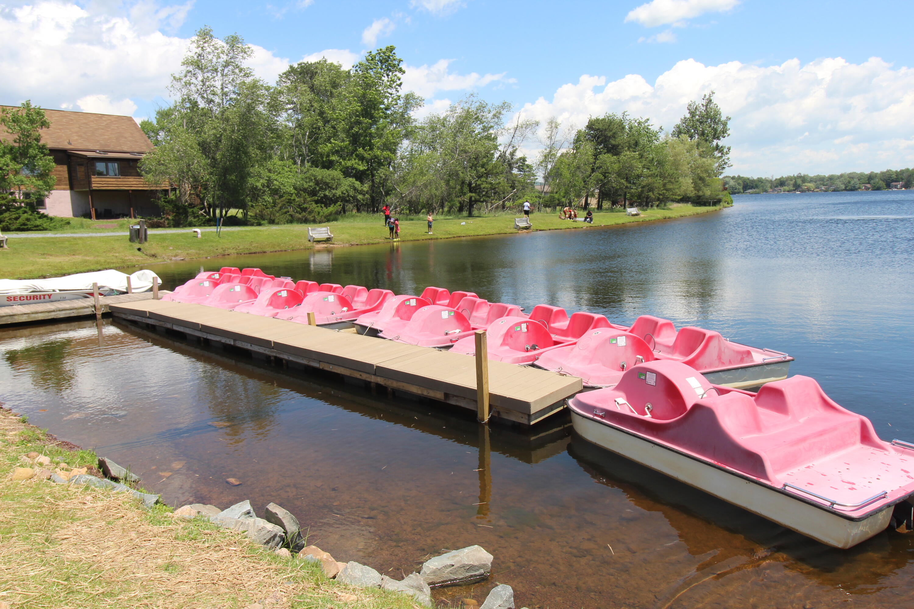 85 Caedman Drive