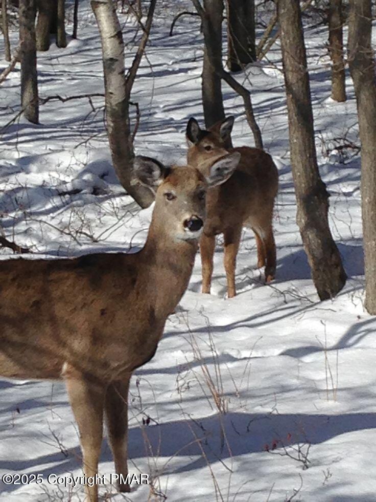 Lot 6004 Scenic Drive