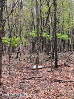 Lot 6004 Scenic Drive