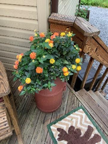 2143 Sheshequin Drive