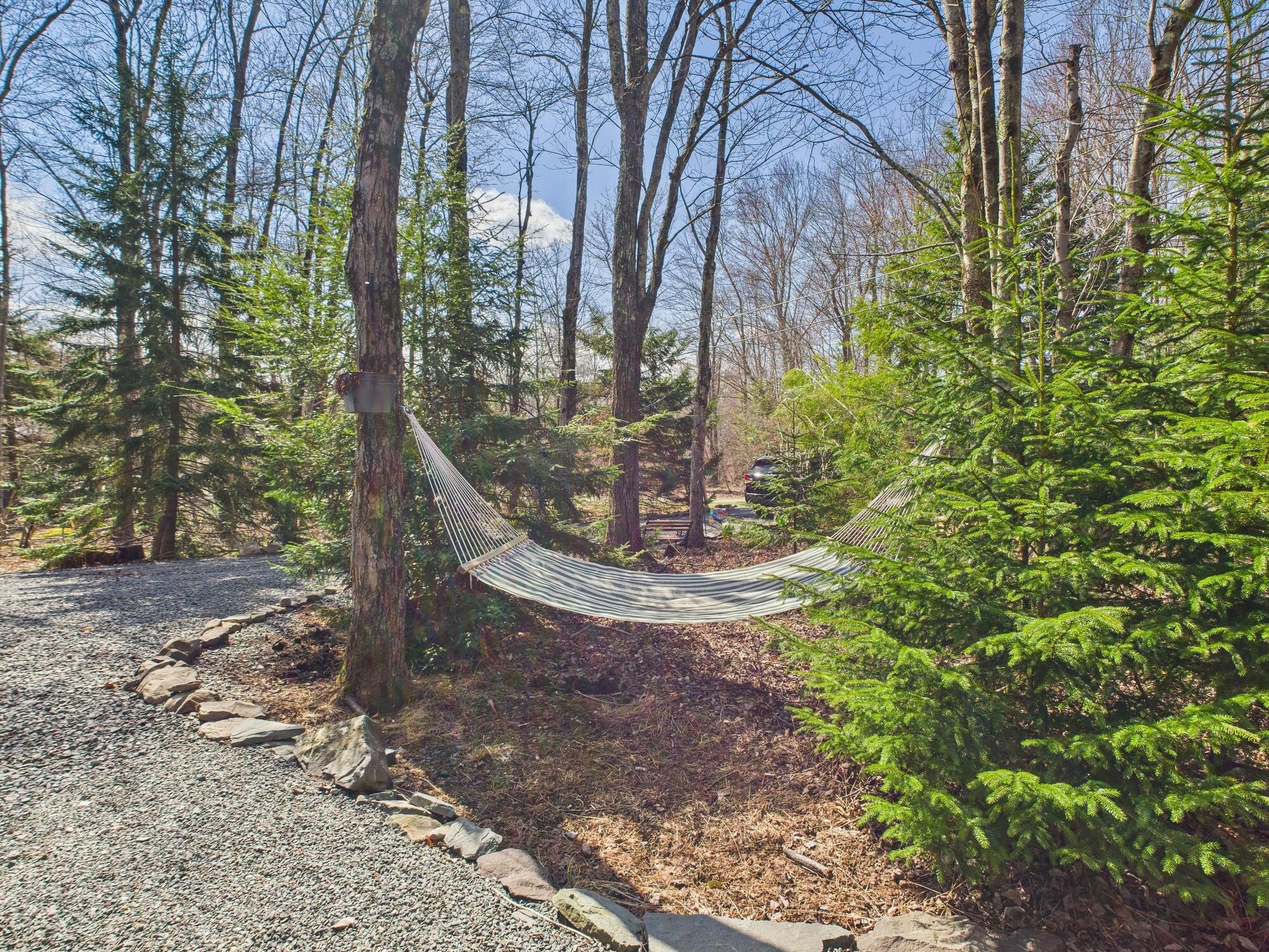 2143 Sheshequin Drive