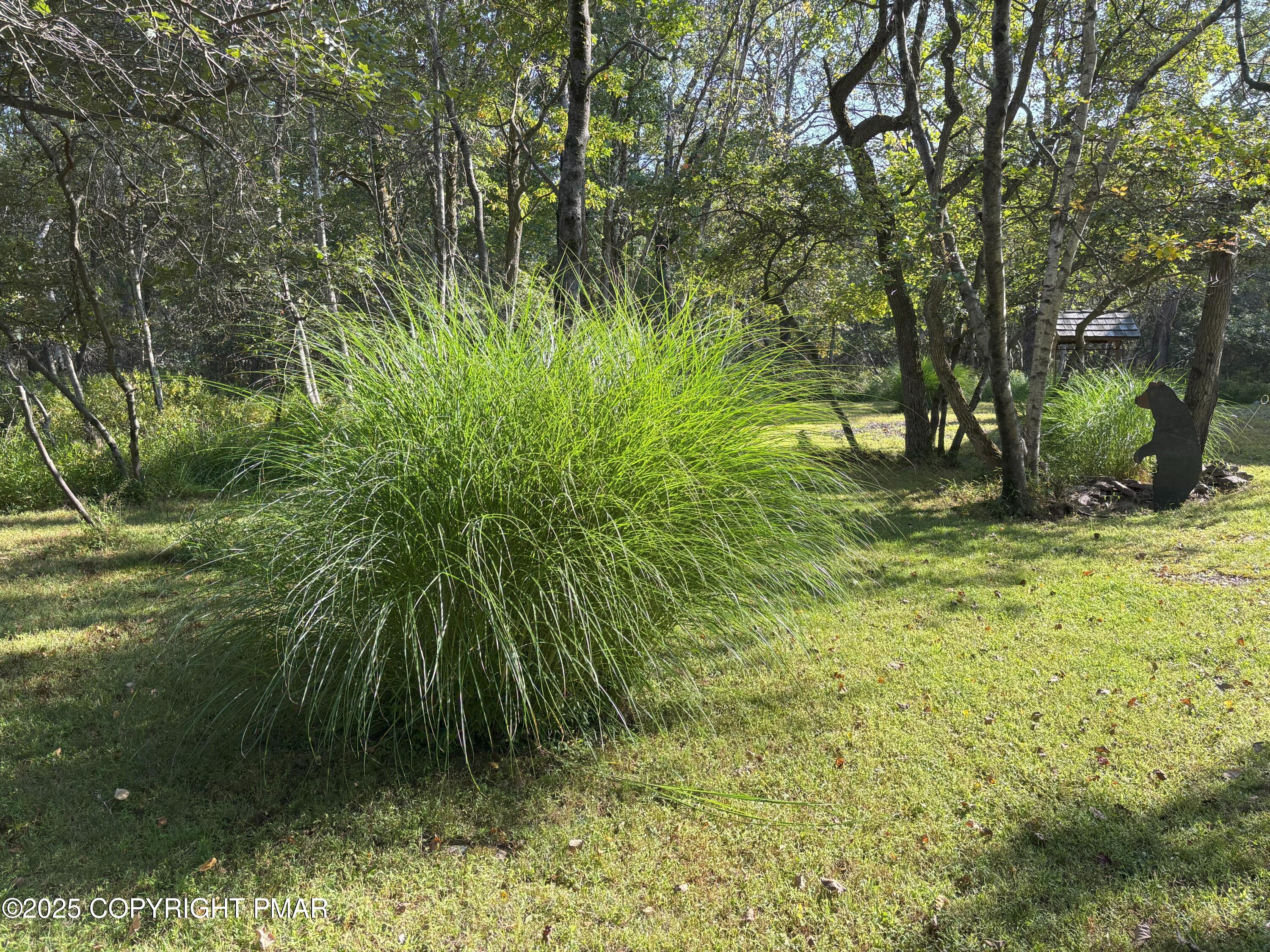 593 Scenic Drive