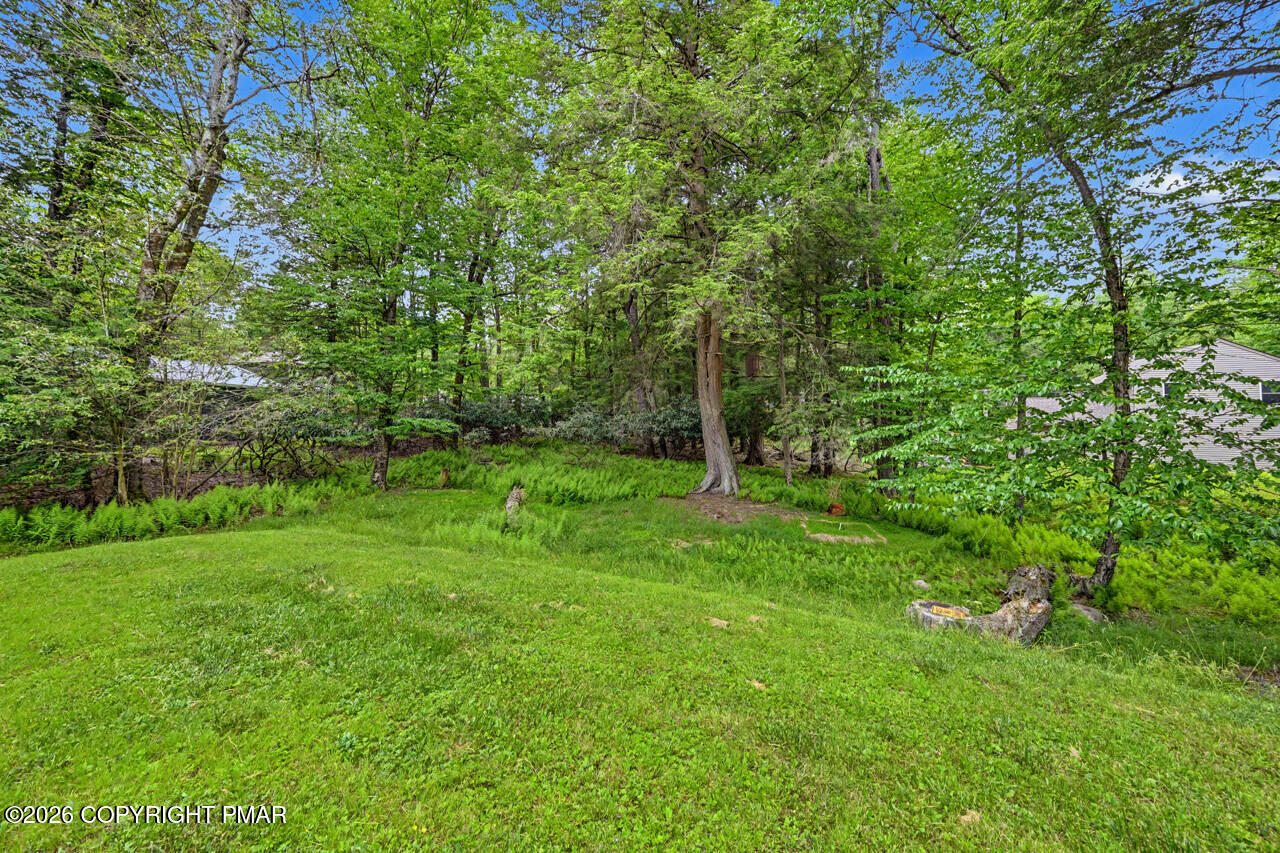 855 Towamensing Trail