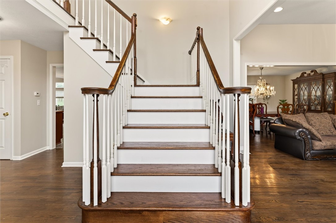 36 Orange Tree Circle