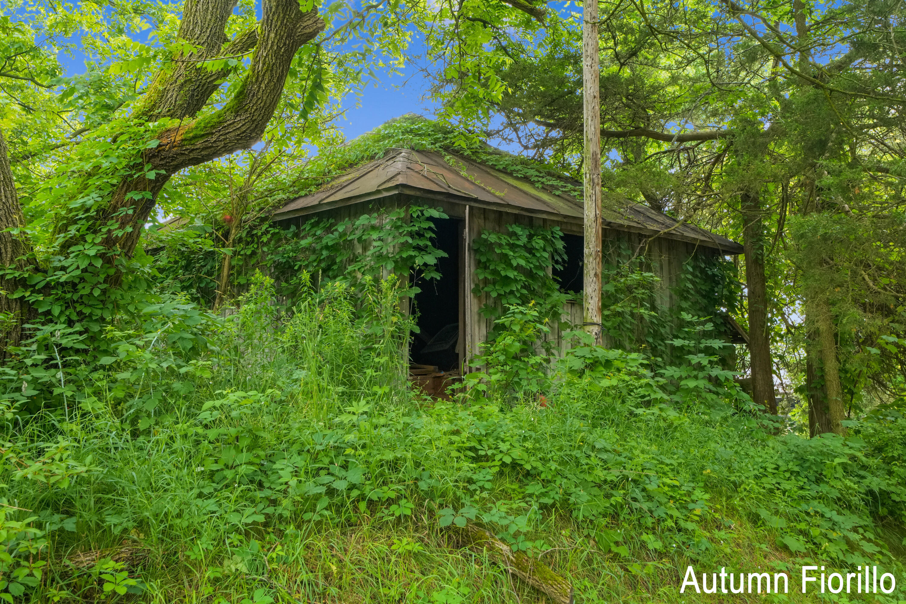 602 Kaiser Road