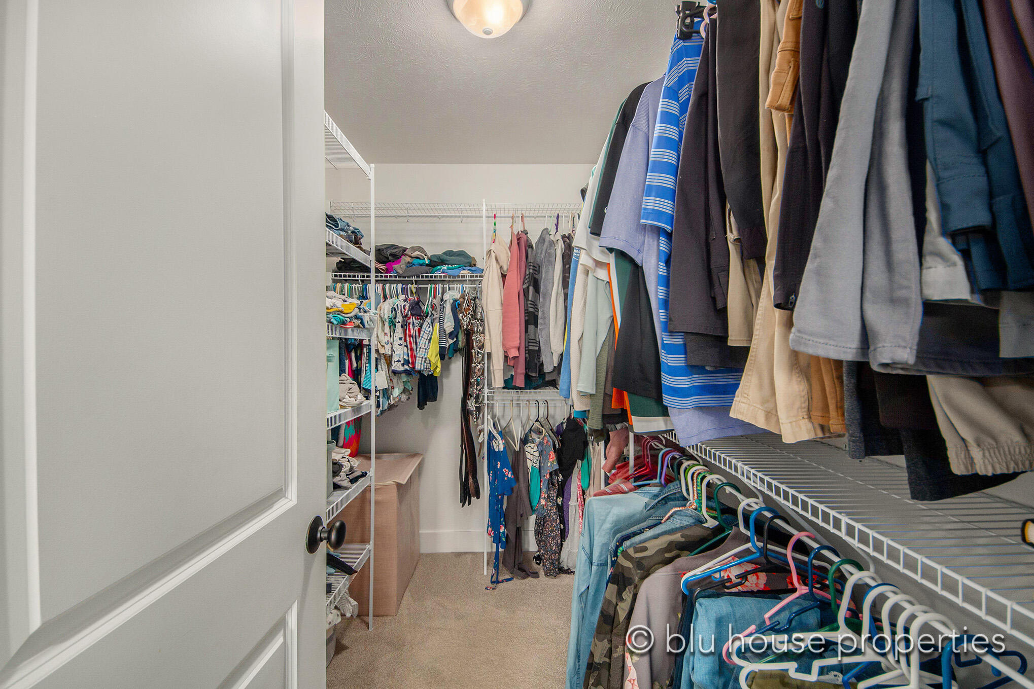 8588 Olive Lake Court