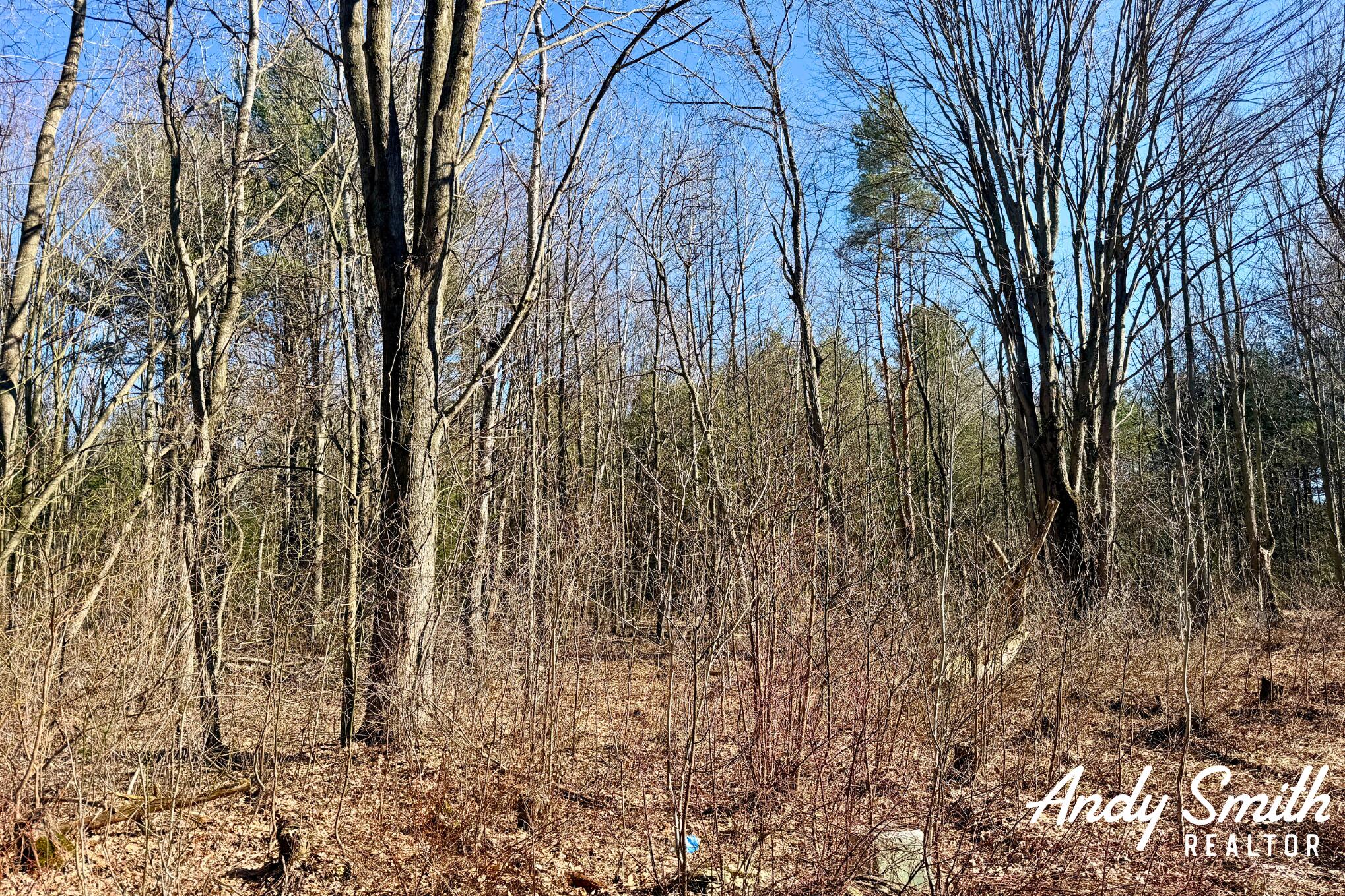 1285 W Mcmillan Road