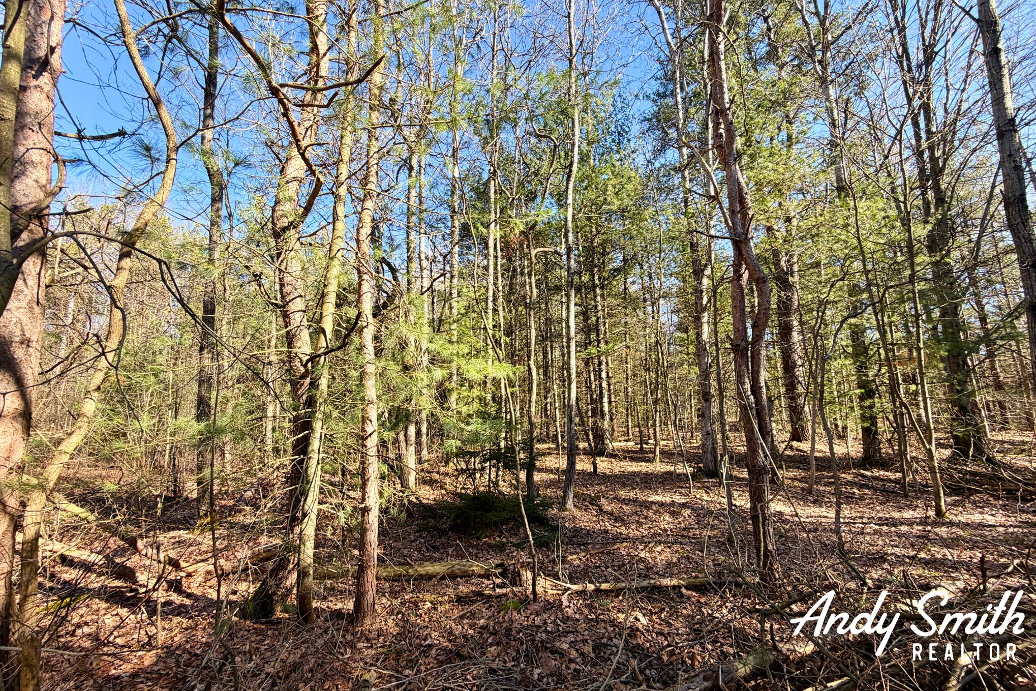 1285 W Mcmillan Road