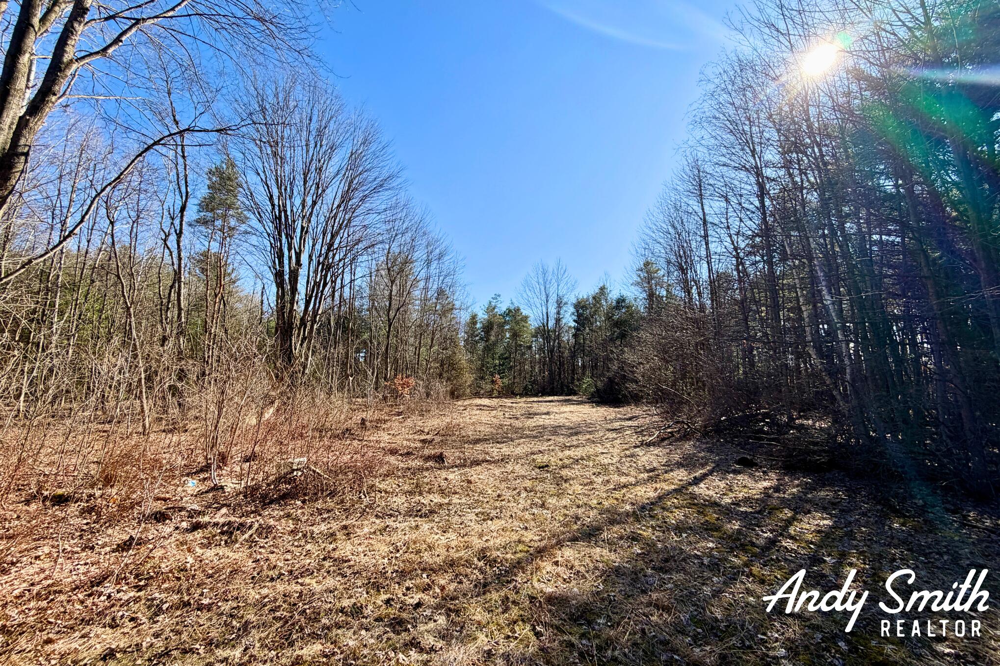 1285 W Mcmillan Road