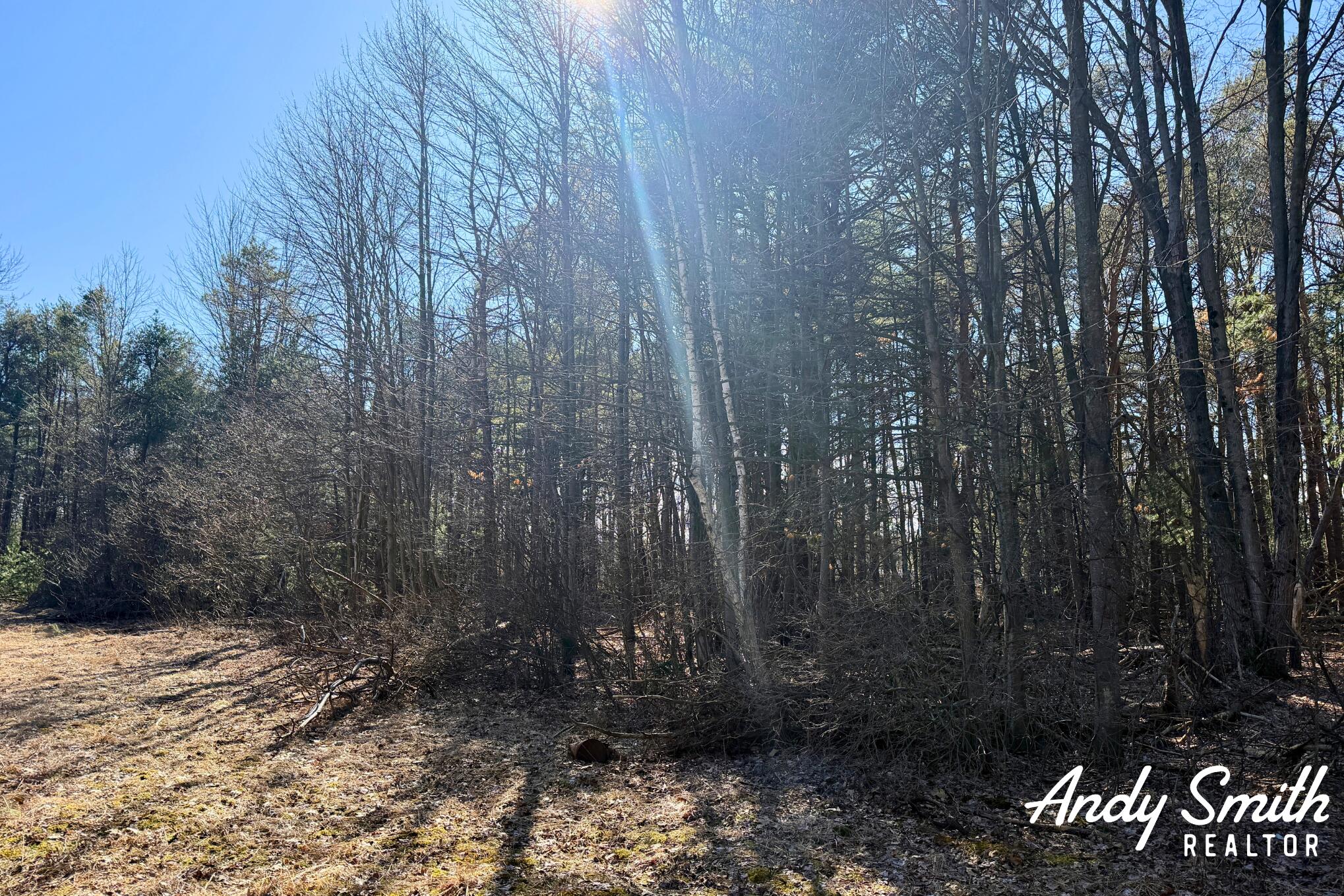 1285 W Mcmillan Road