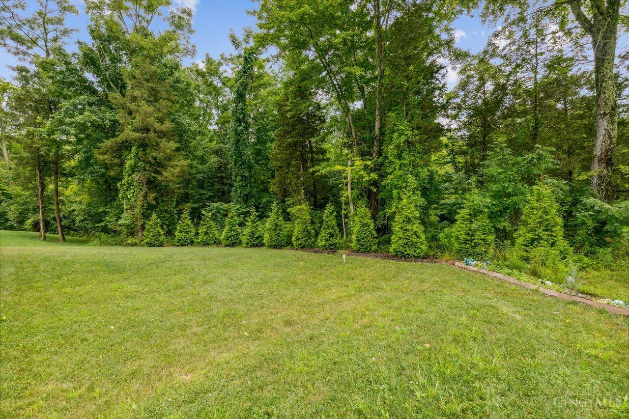 3989 Cypress Court