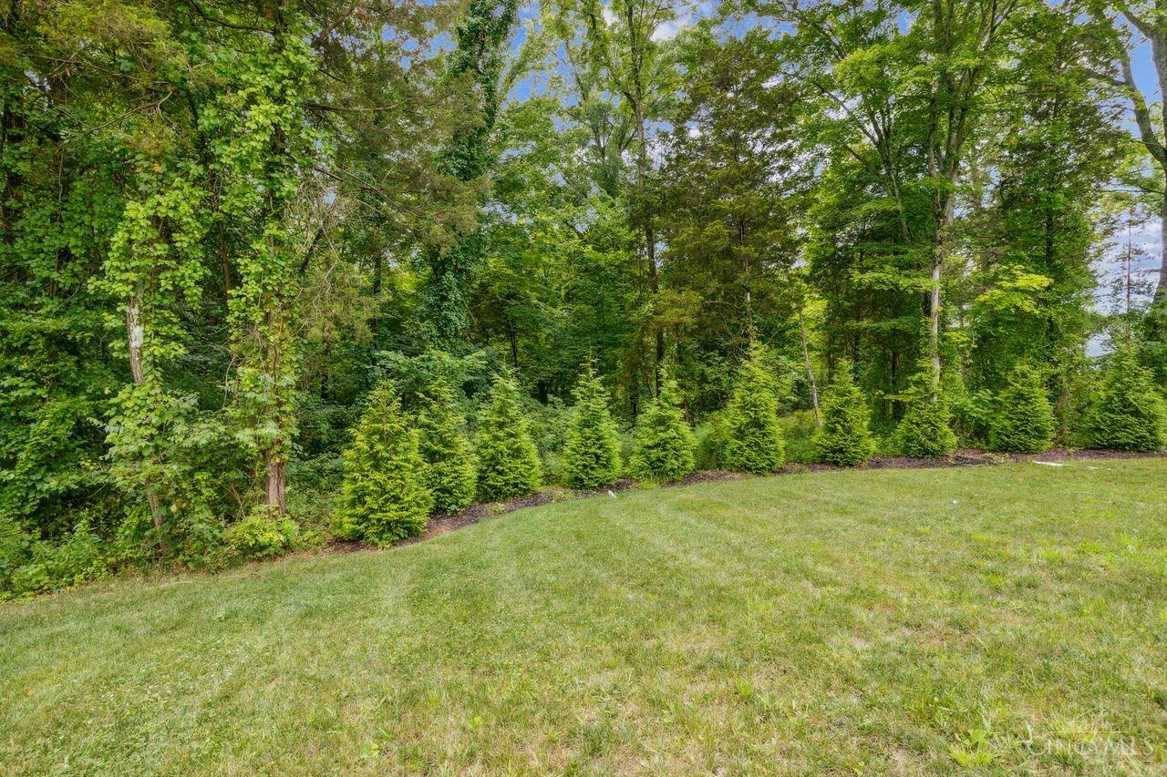 3989 Cypress Court