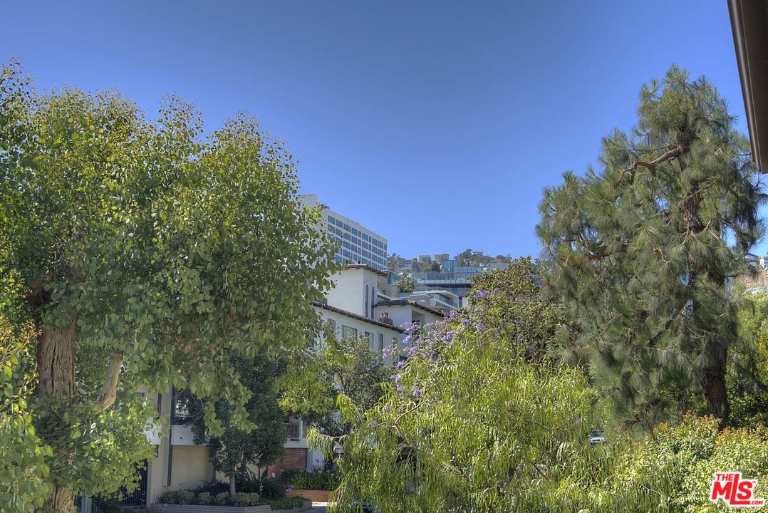 1210 N Kings Rd Unit: 204