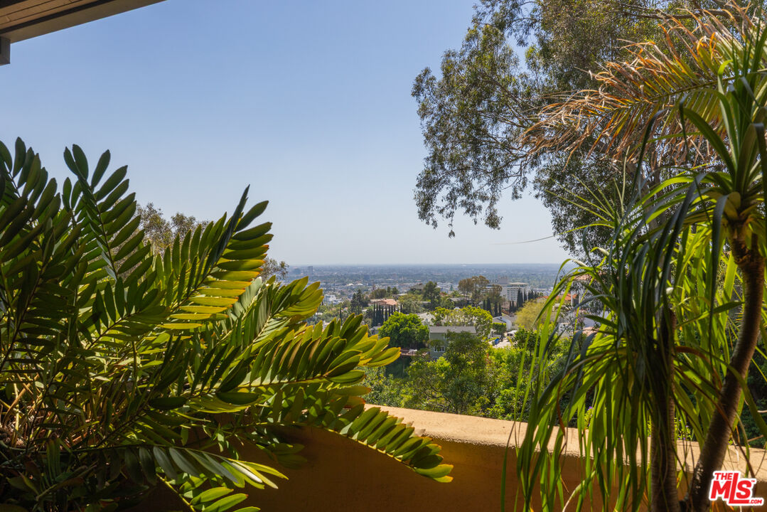 6964 Los Tilos Rd, Hollywood Hills