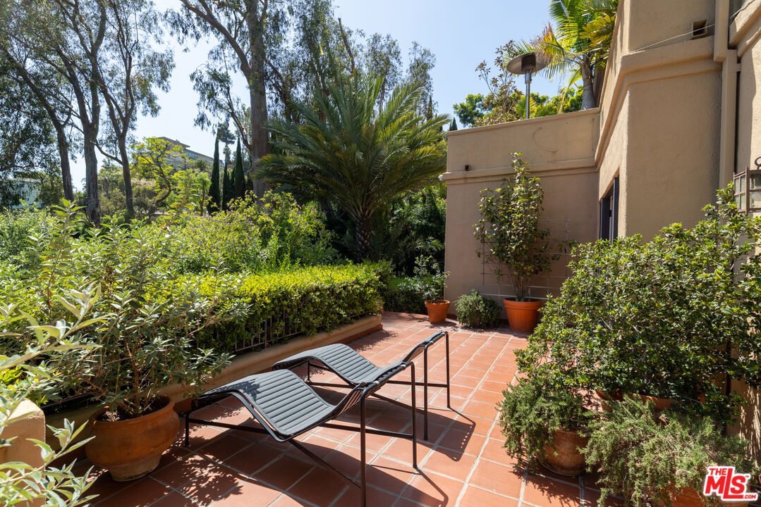 6964 Los Tilos Rd, Hollywood Hills