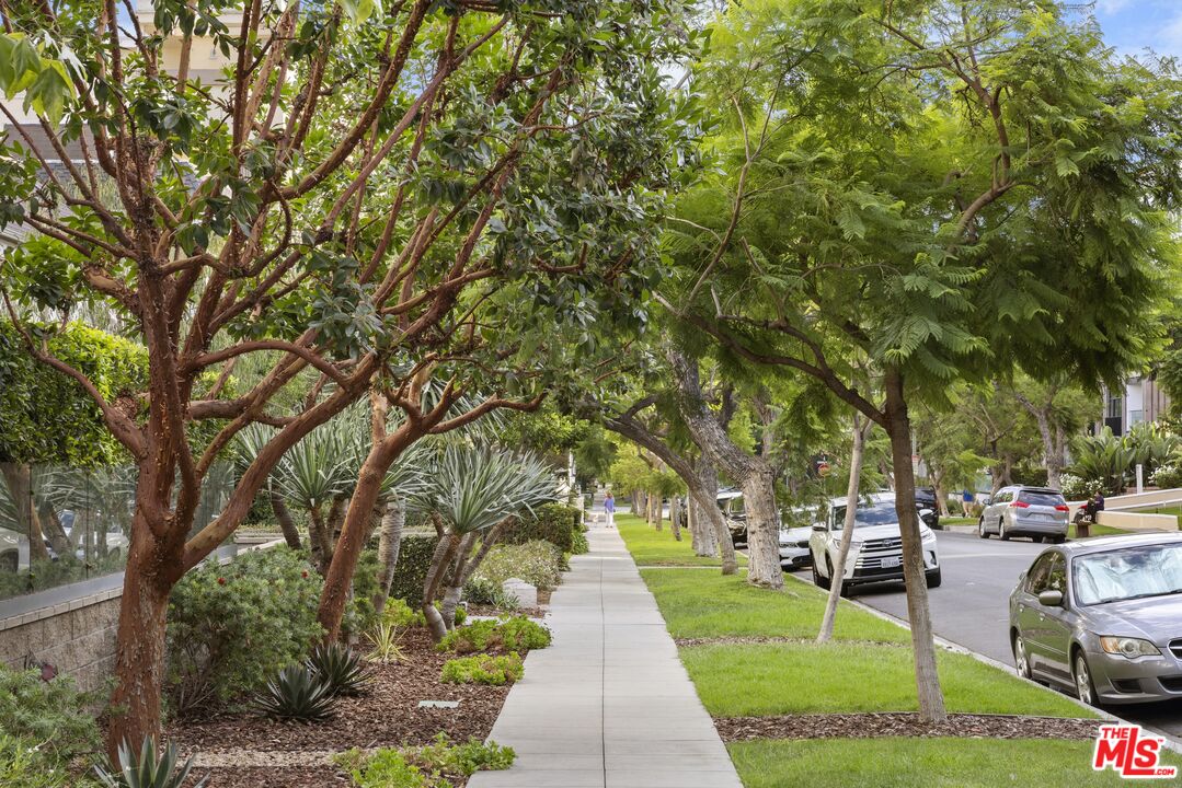 450 N Palm Dr Unit: 507, Beverly Hills 