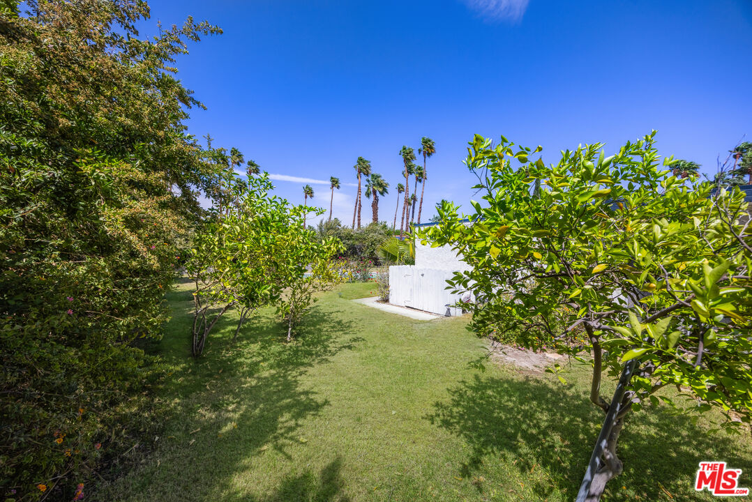 772 E El Conquistador, Palm Springs