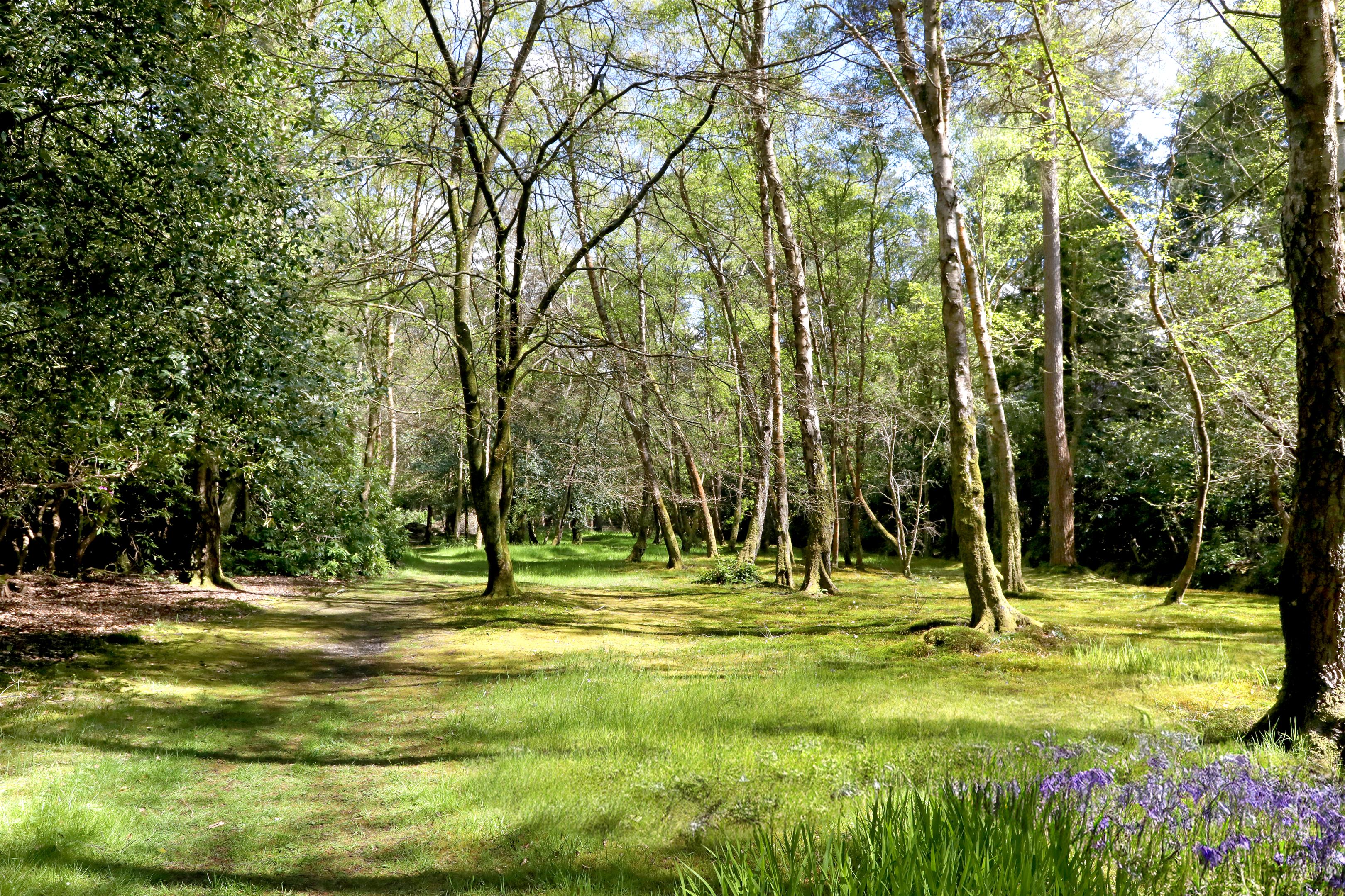 Fulmer, Buckinghamshire, SL3