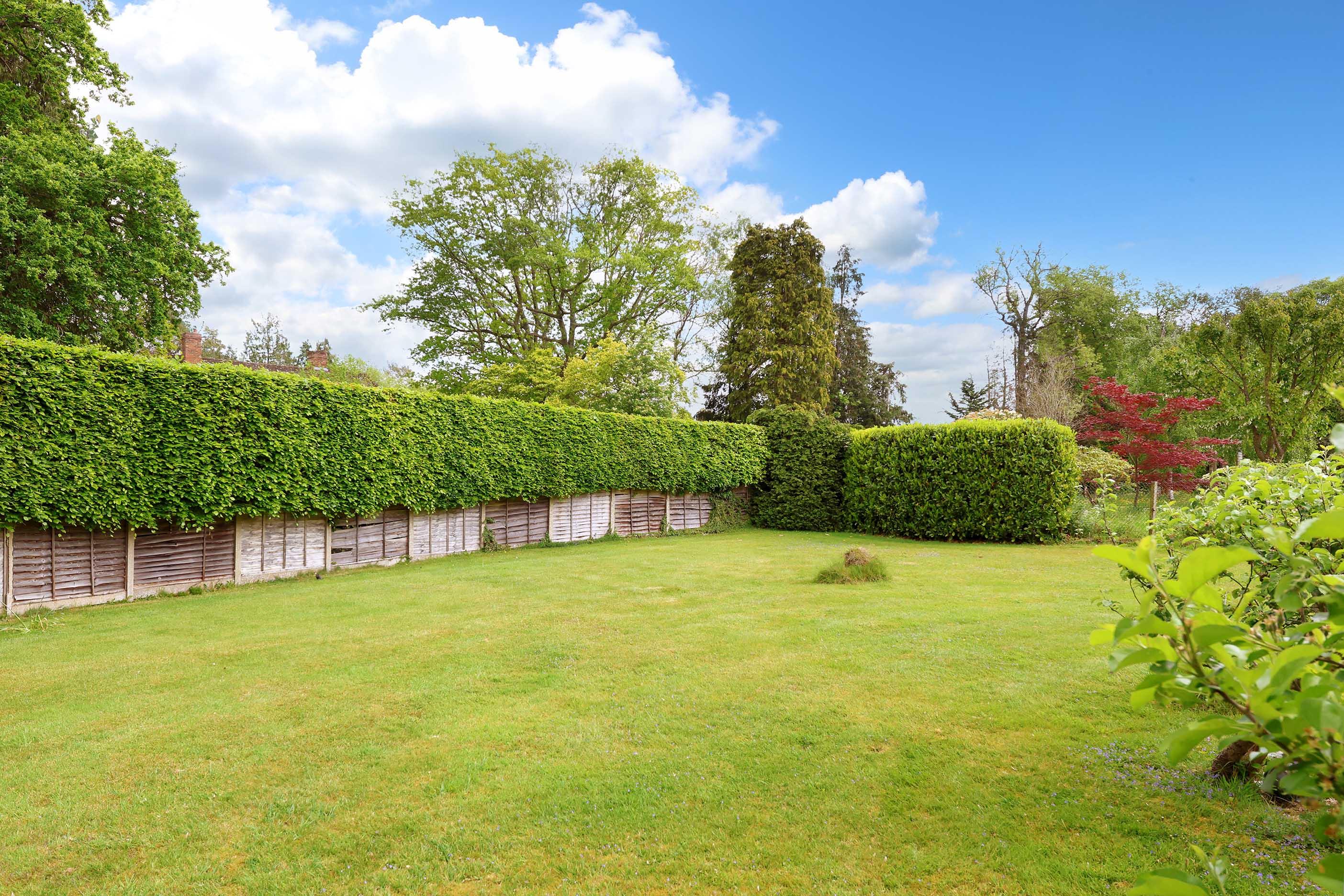 Frithsden Copse, Potten End, Berkhamsted, Hertfordshire HP4