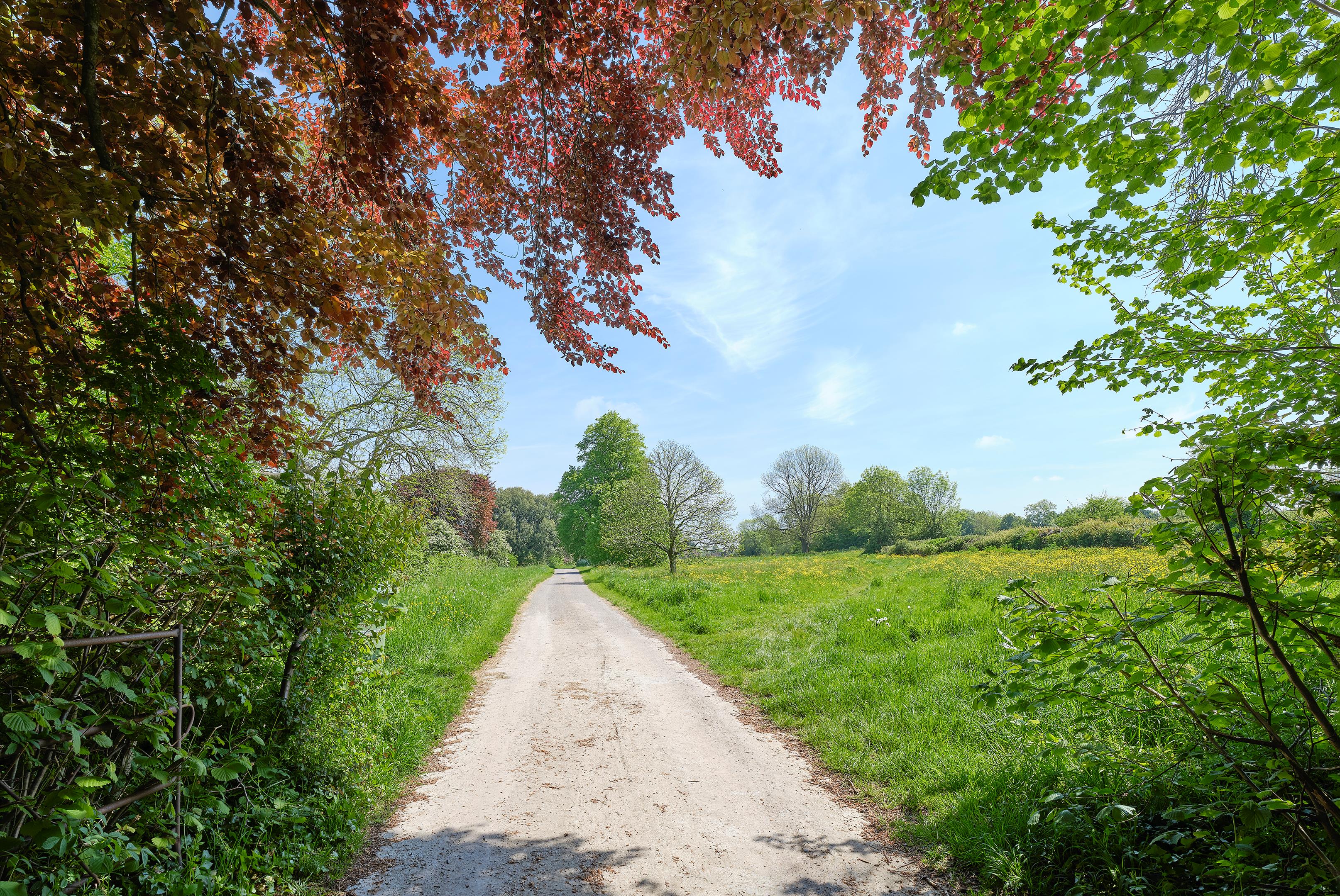 Preywater Road, Wookey, Wells, BA5
