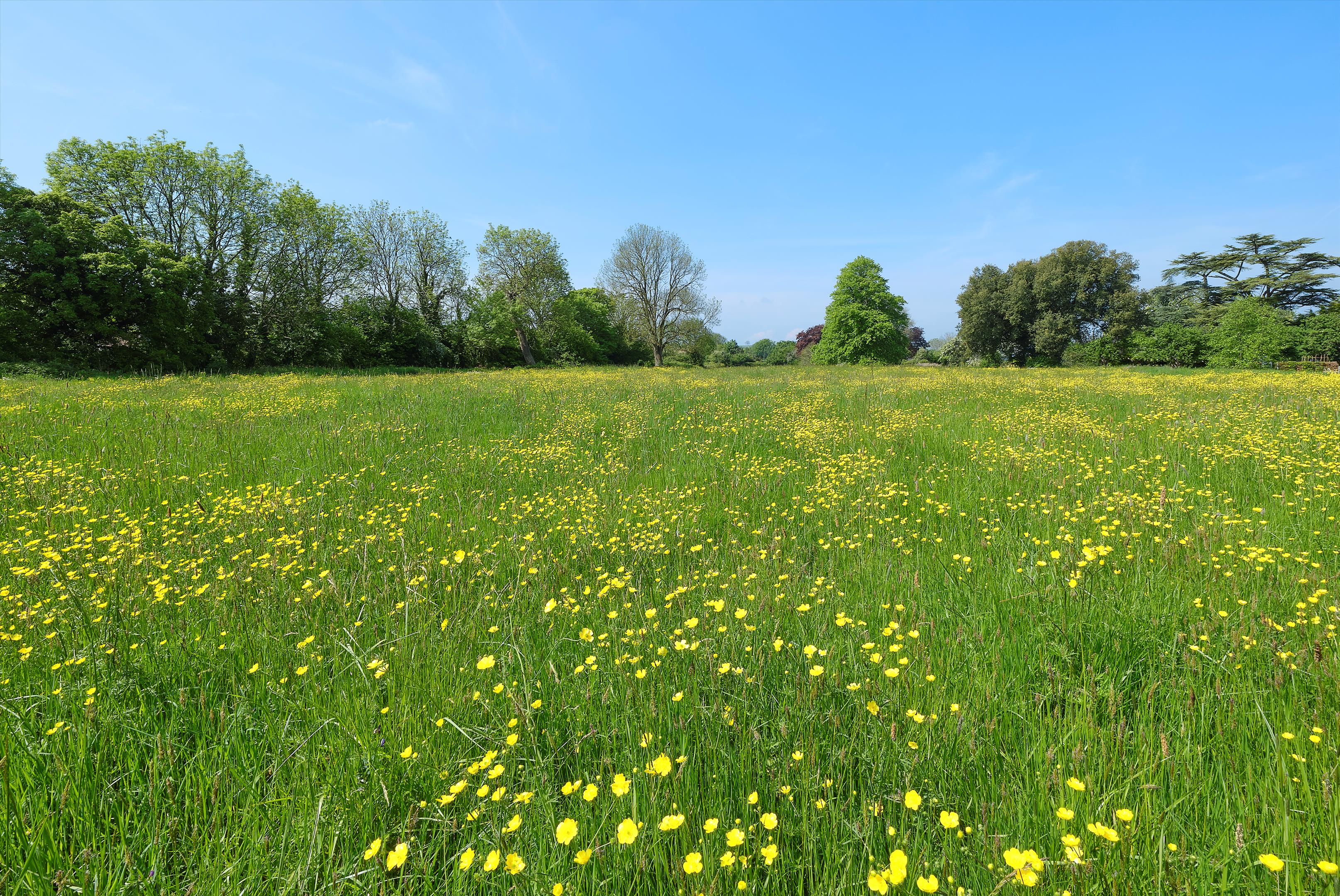 Preywater Road, Wookey, Wells, BA5