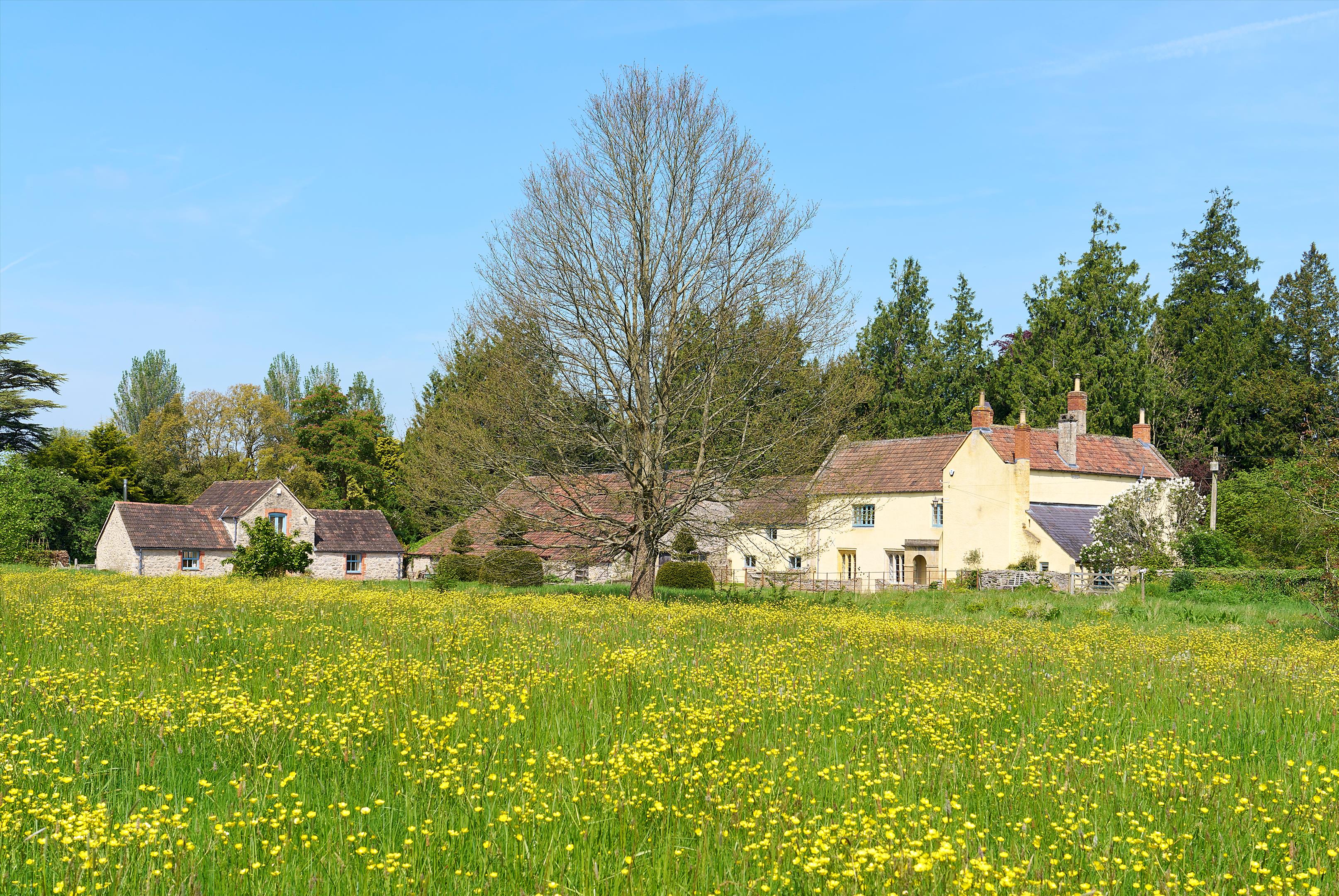 Preywater Road, Wookey, Wells, BA5