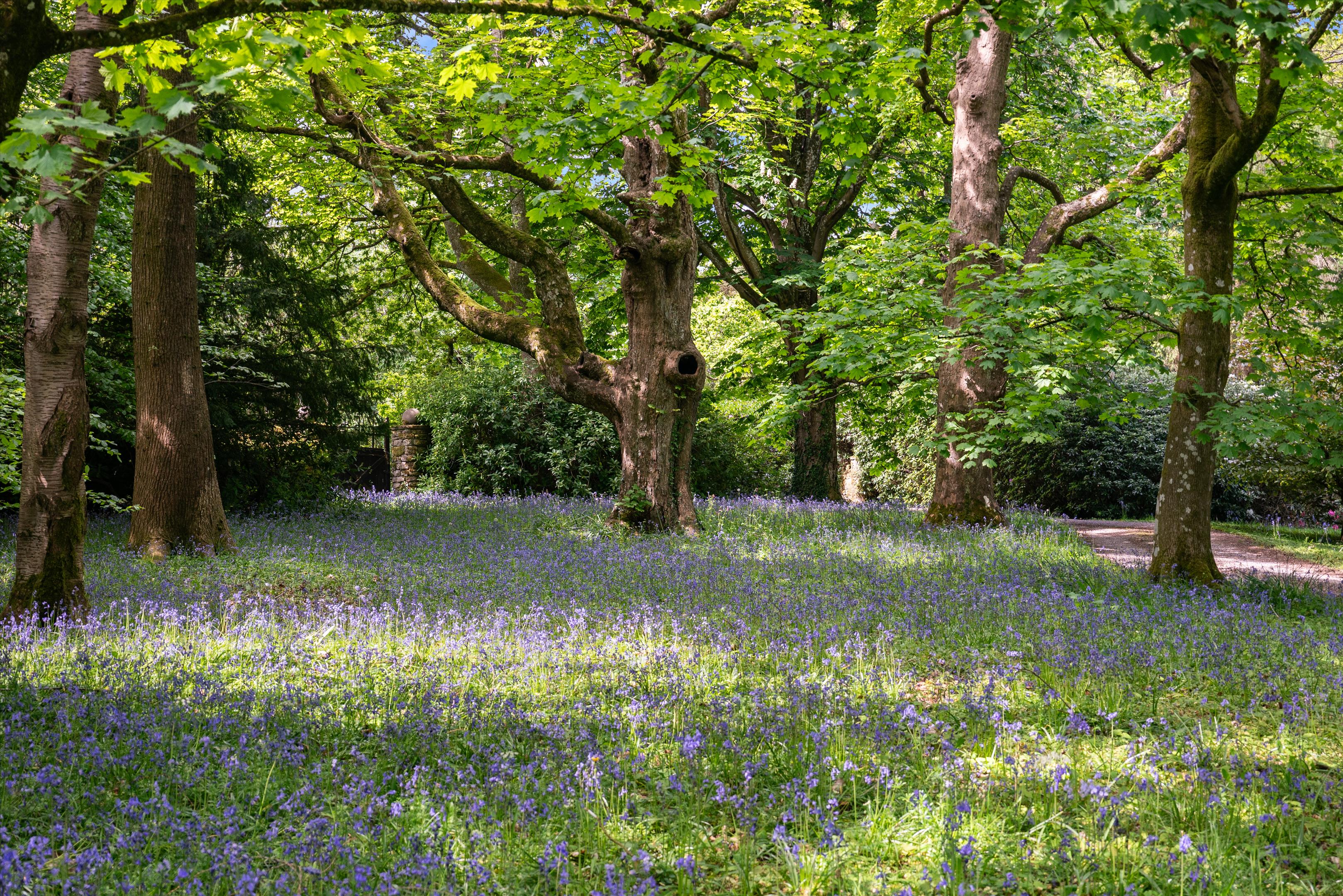 Penallt, Monmouth, Monmouthshire, NP25