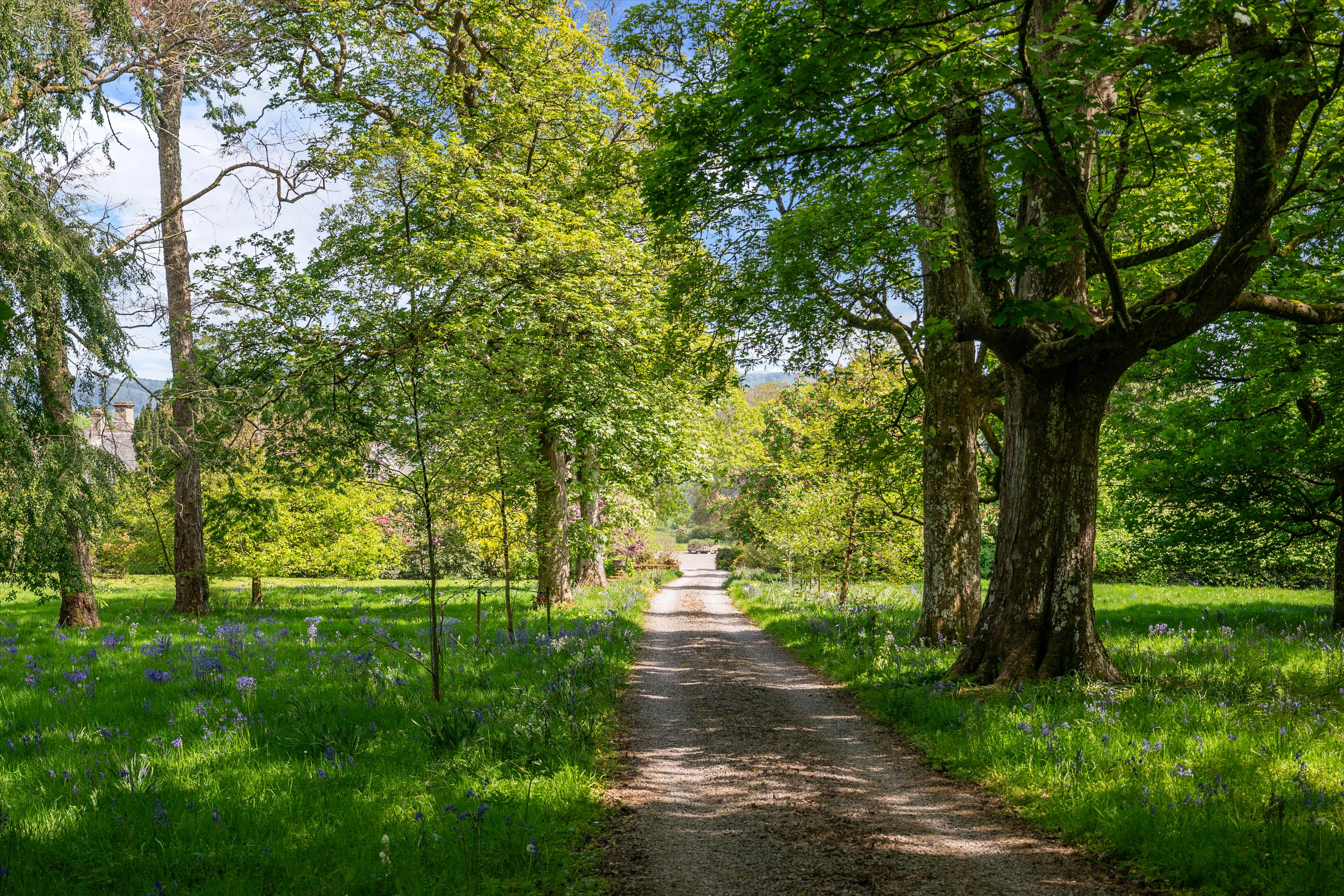 Penallt, Monmouth, Monmouthshire, NP25