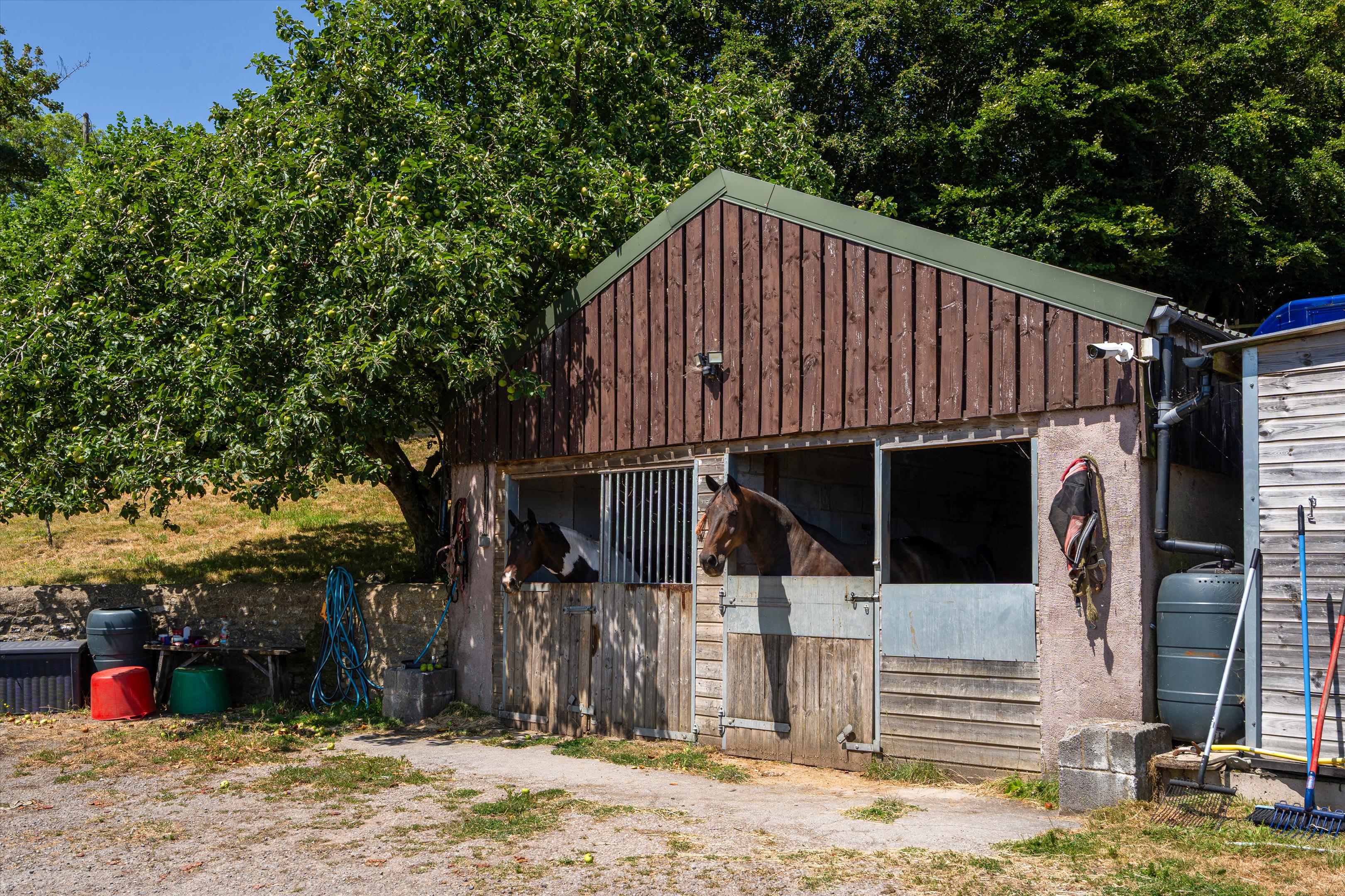 Walton Street, Walton-in-Gordano, Clevedon, Somerset BS21