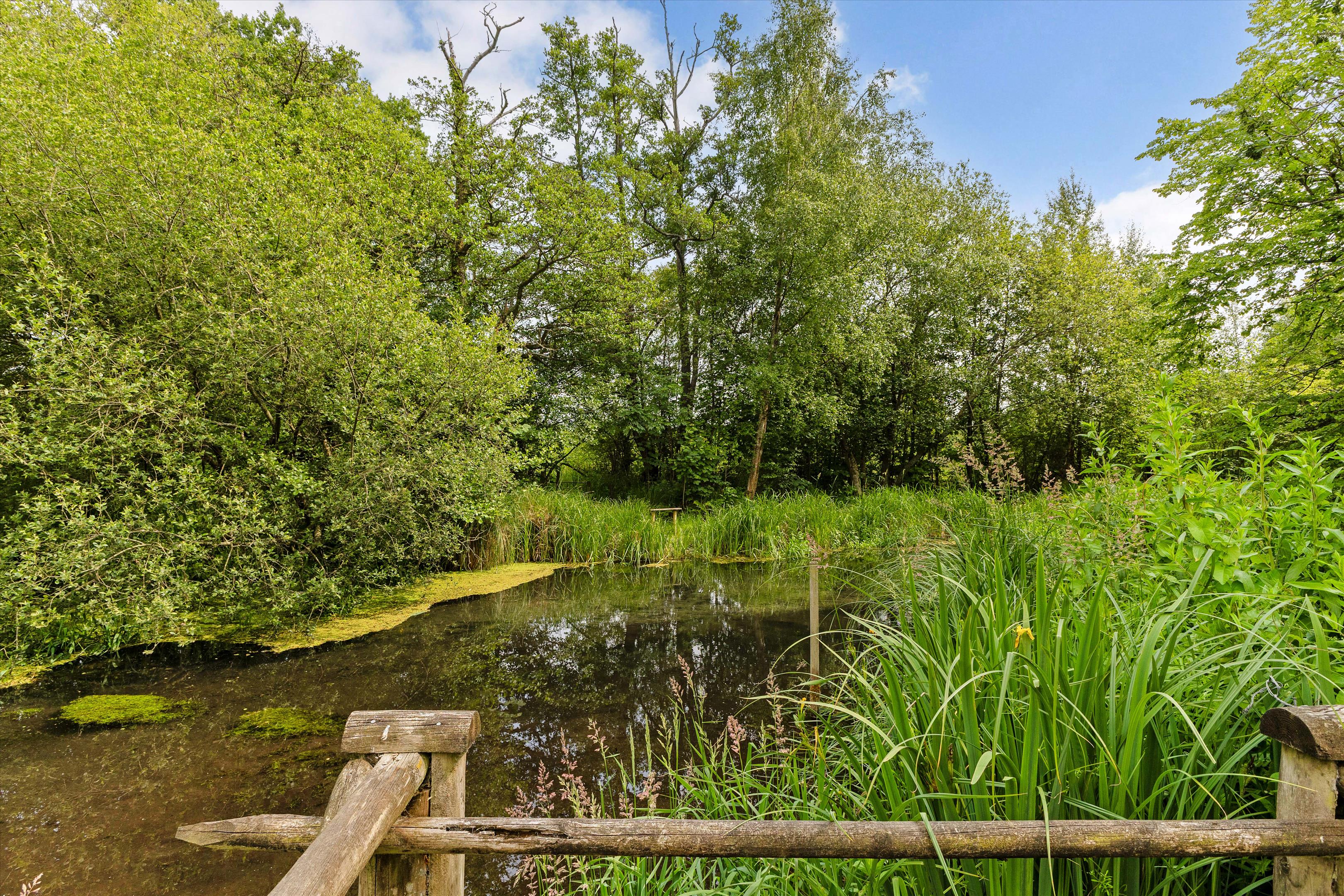 Greywell, Hampshire, RG29