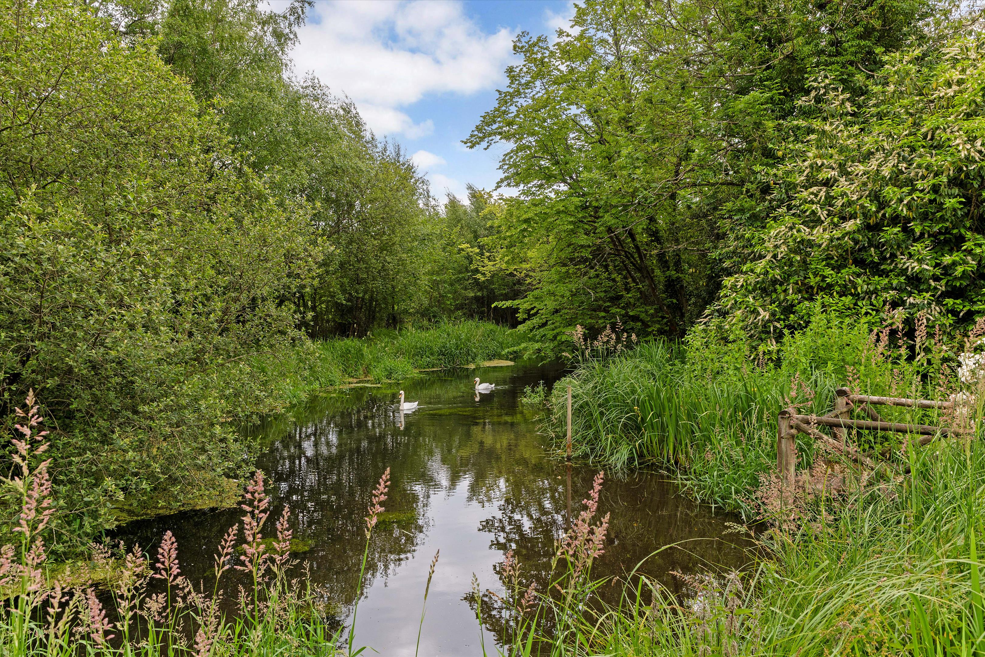 Greywell, Hampshire, RG29