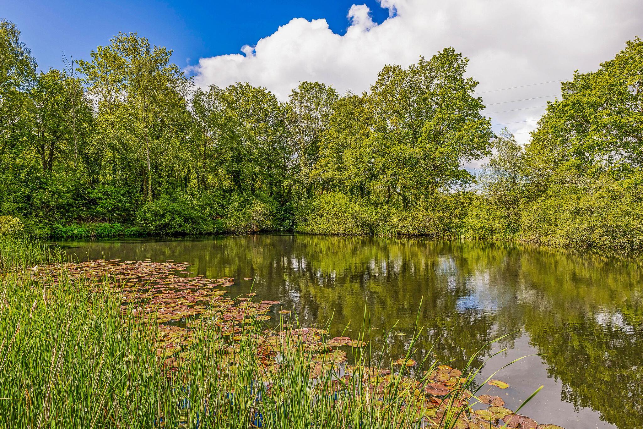 Heath Lane, Crondall, Farnham, Hampshire GU10