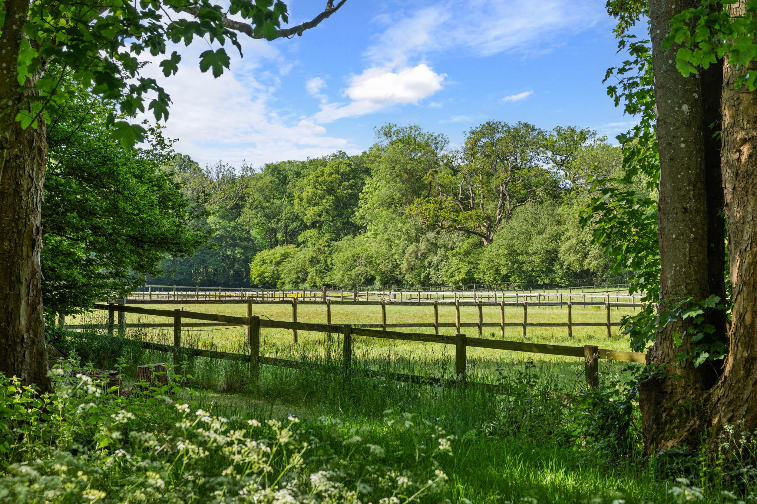 Steventon, Basingstoke, Hampshire, RG25