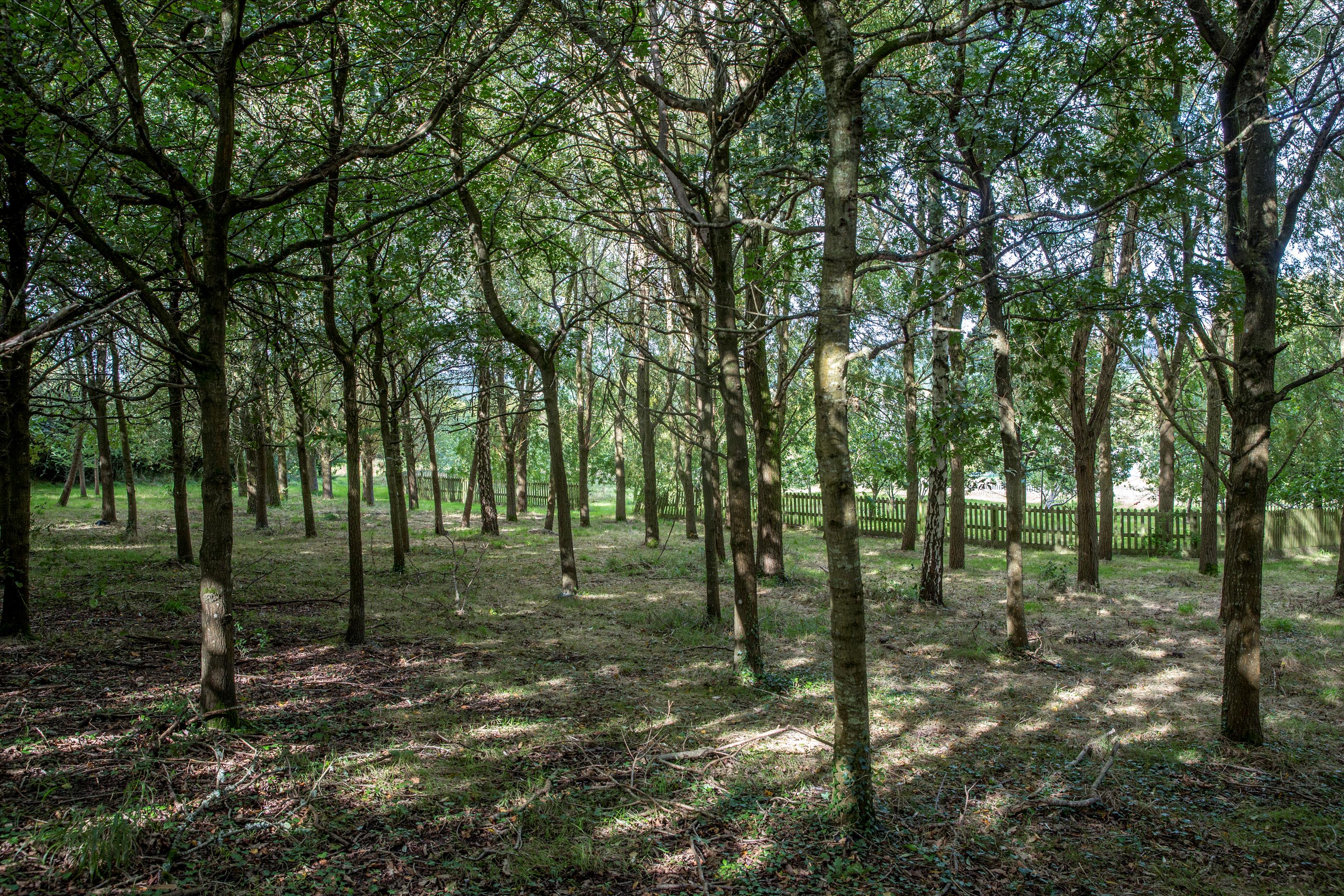 Beach Lane, Beach, Nr Bath, BS30.