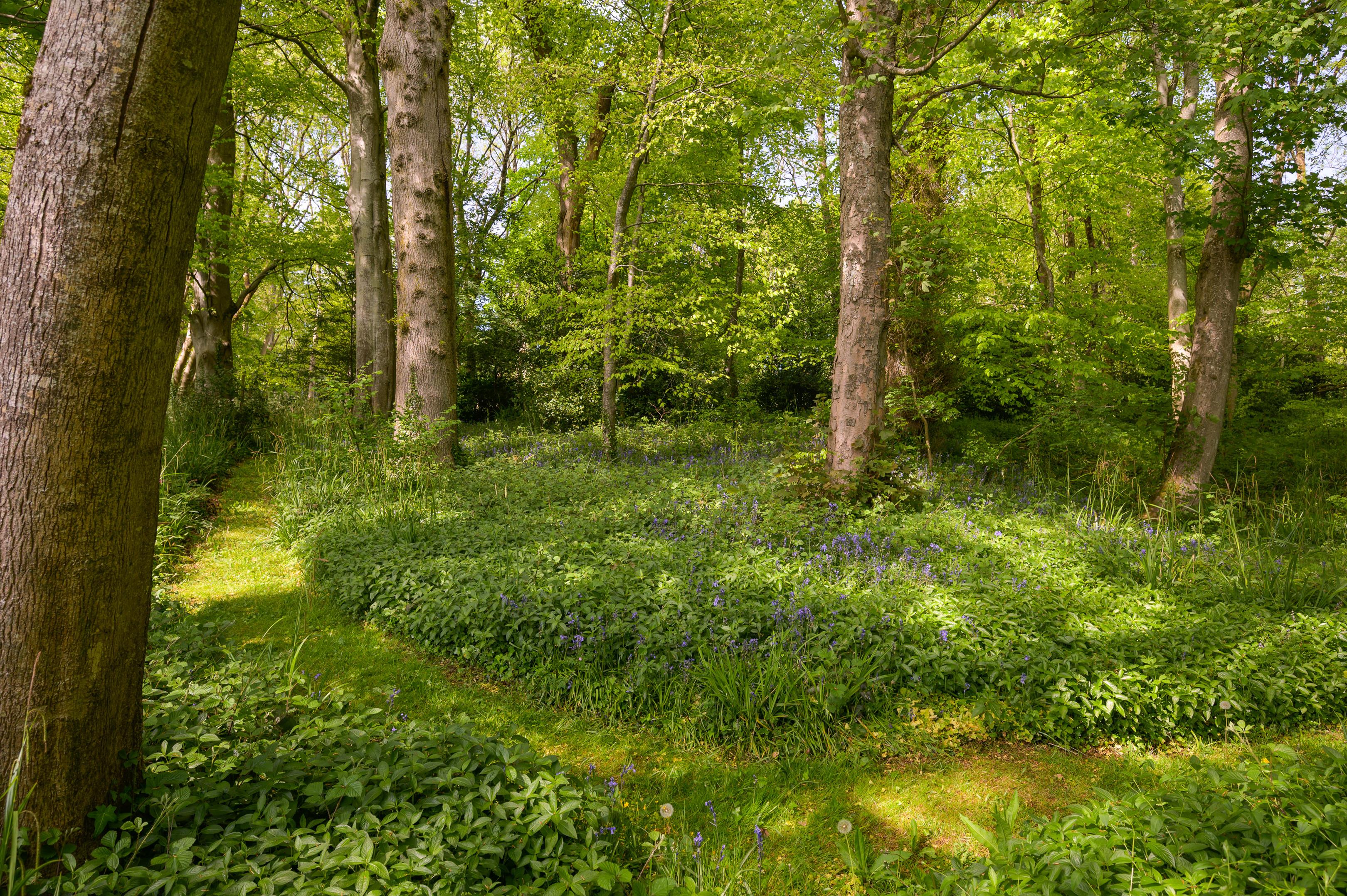 Redlynch Park, Bruton, Somerset, BA10